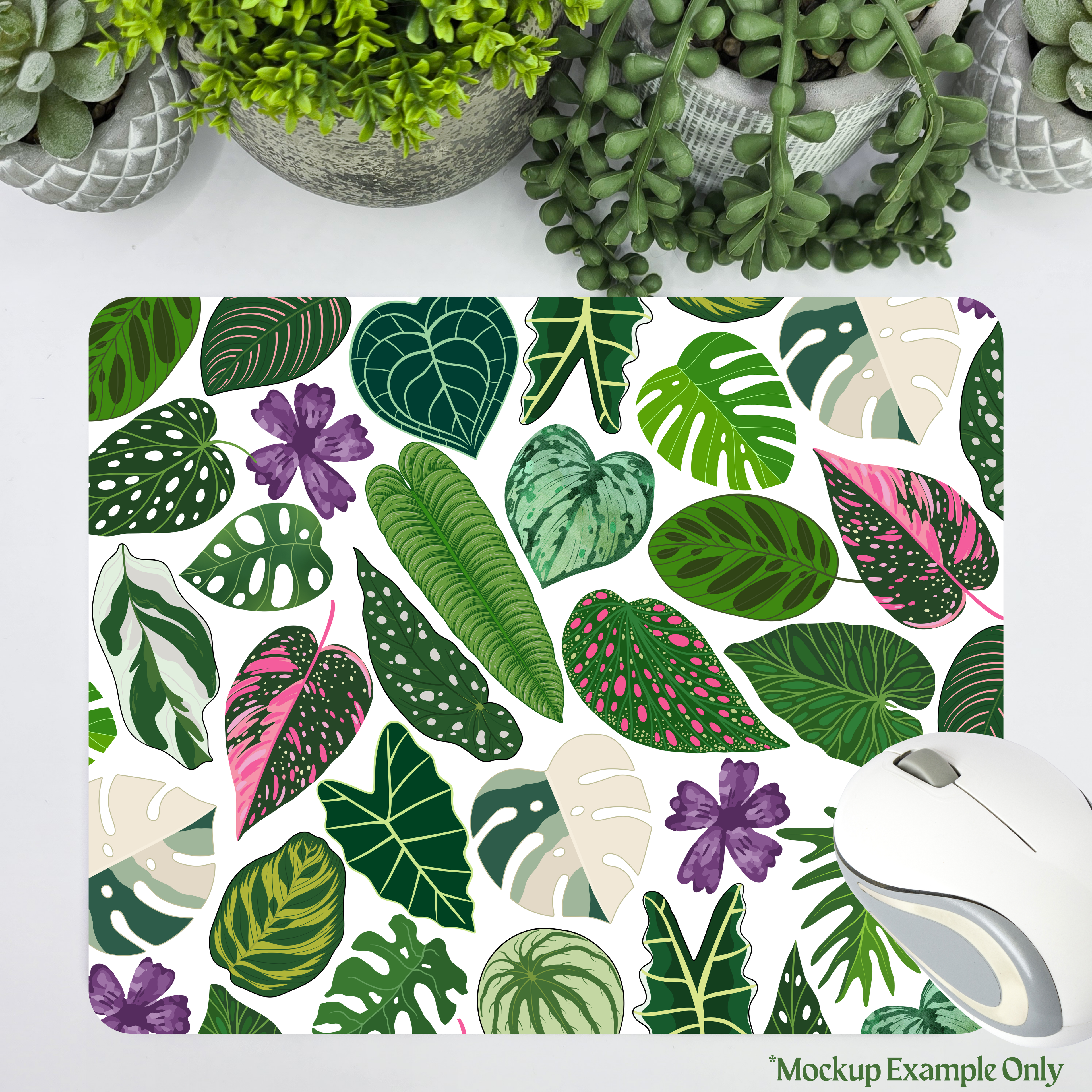 Shop All My Plantasy Products