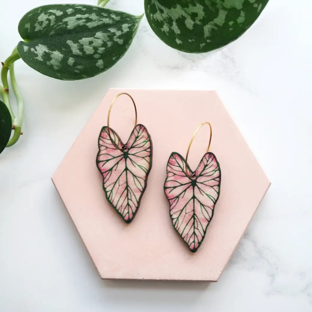 Earrings - wood