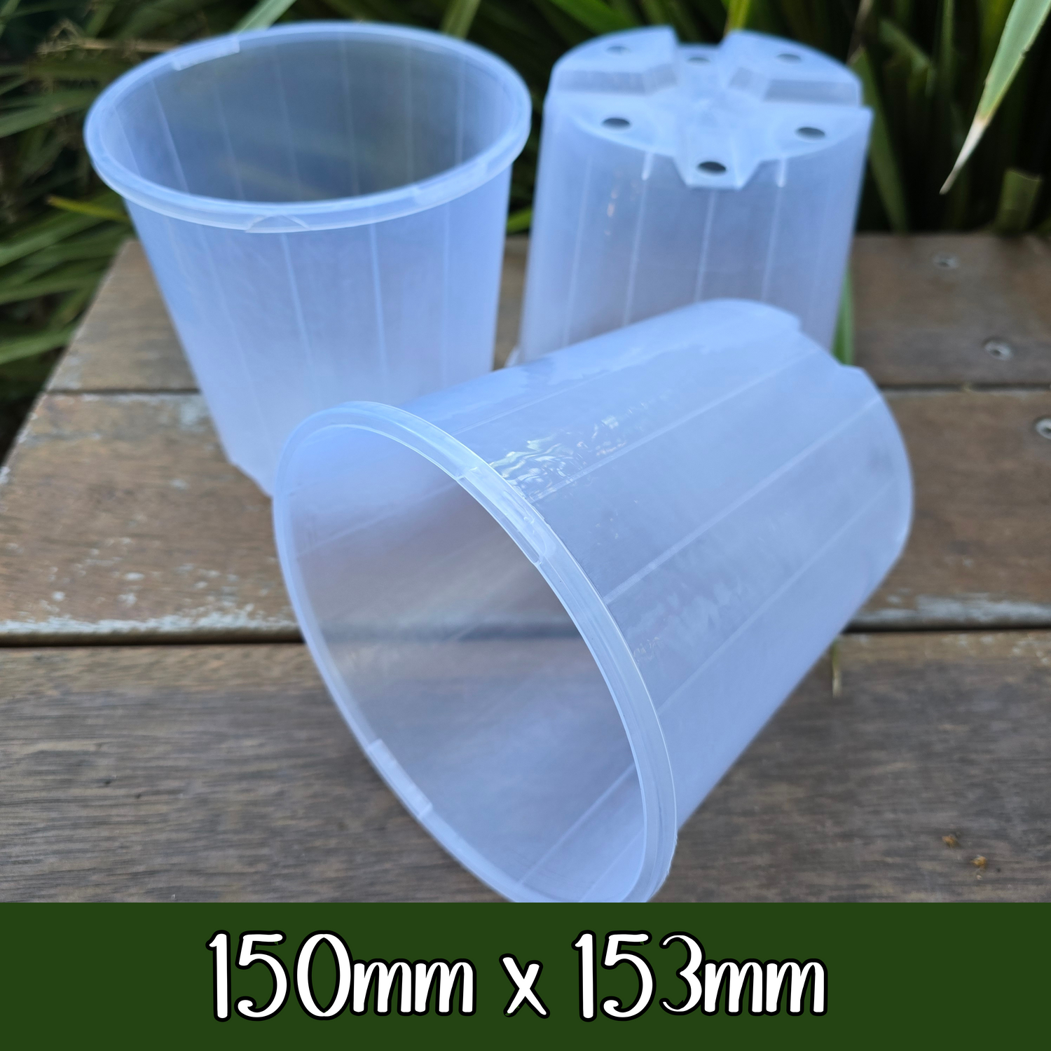My Plantasy/ 150mm x 153mm clear plastic plant pot
