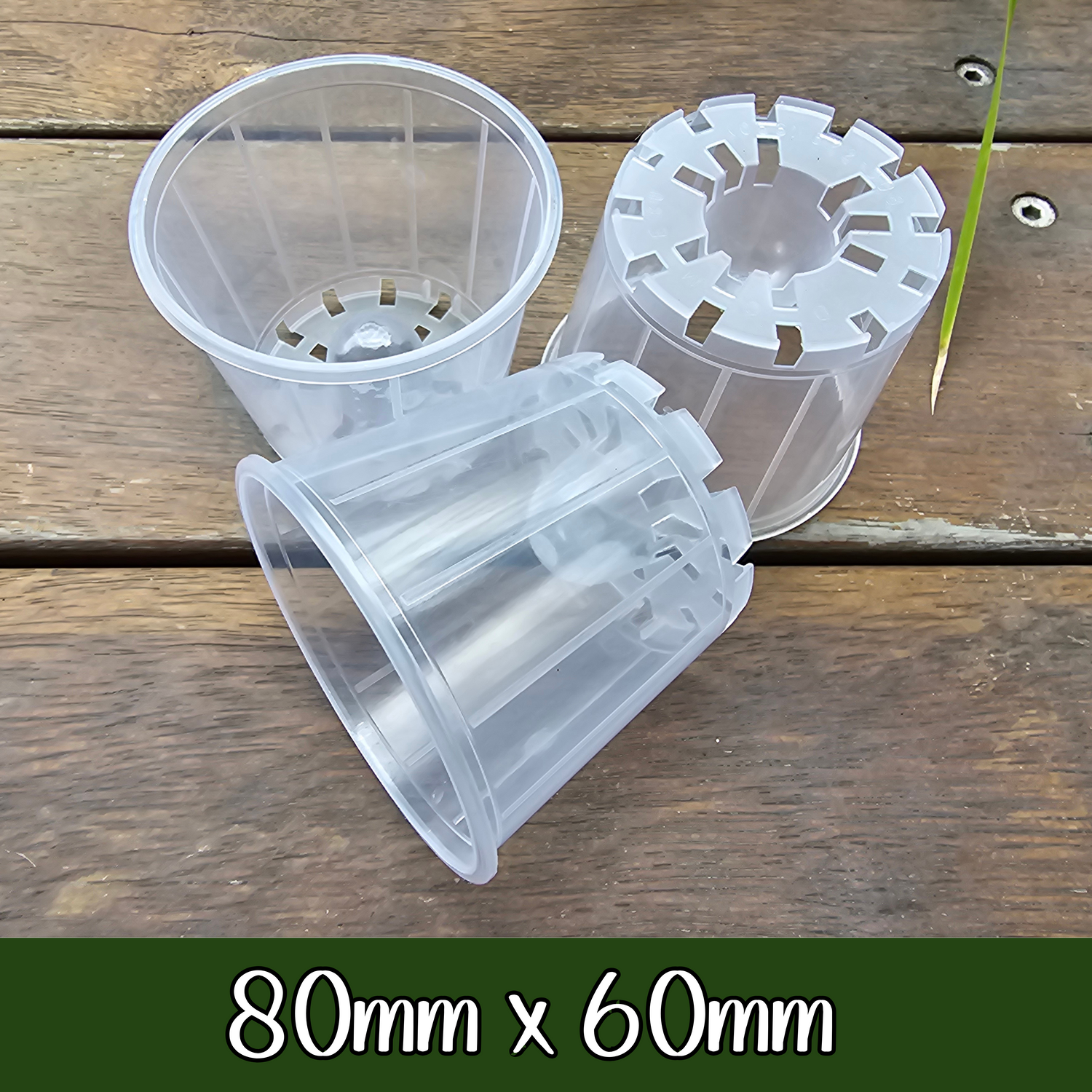 My Plantasy/ 80mm x 60mm Clear Plastic Plant Pot