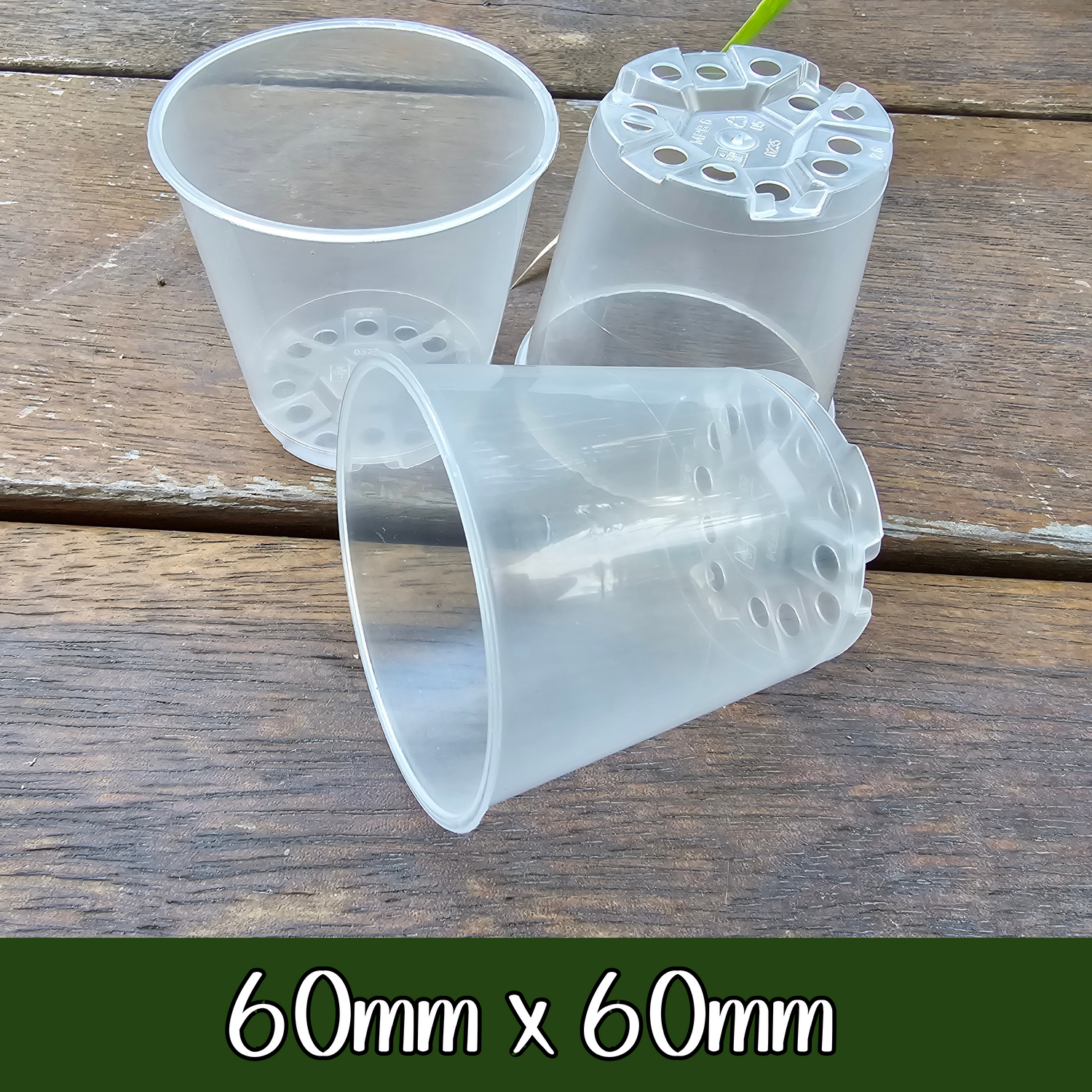 My Plantasy/ 60mm x 60mm clear plastic plant pot