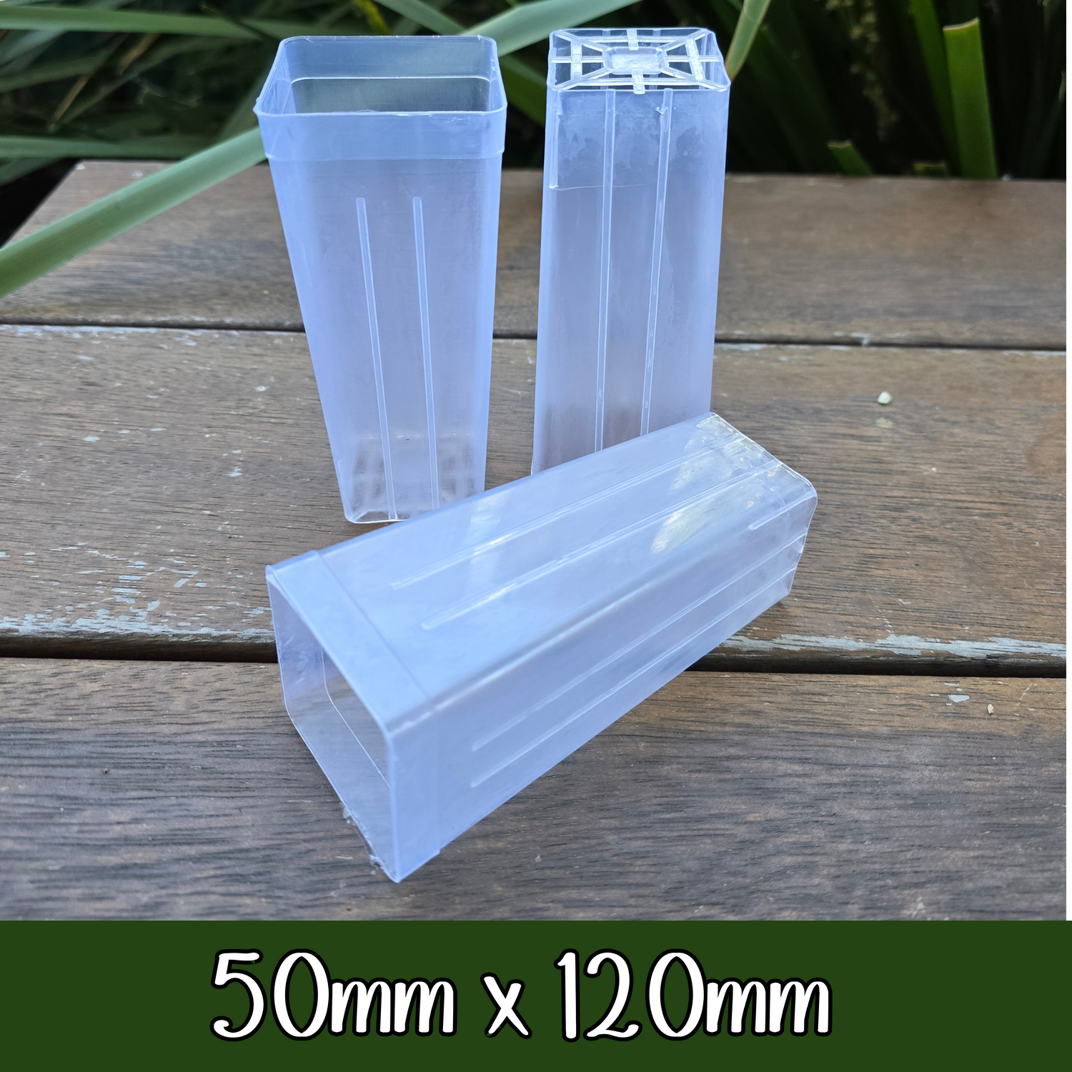 My Plantasy/ 50mm x 120mm clear plastic plant pot