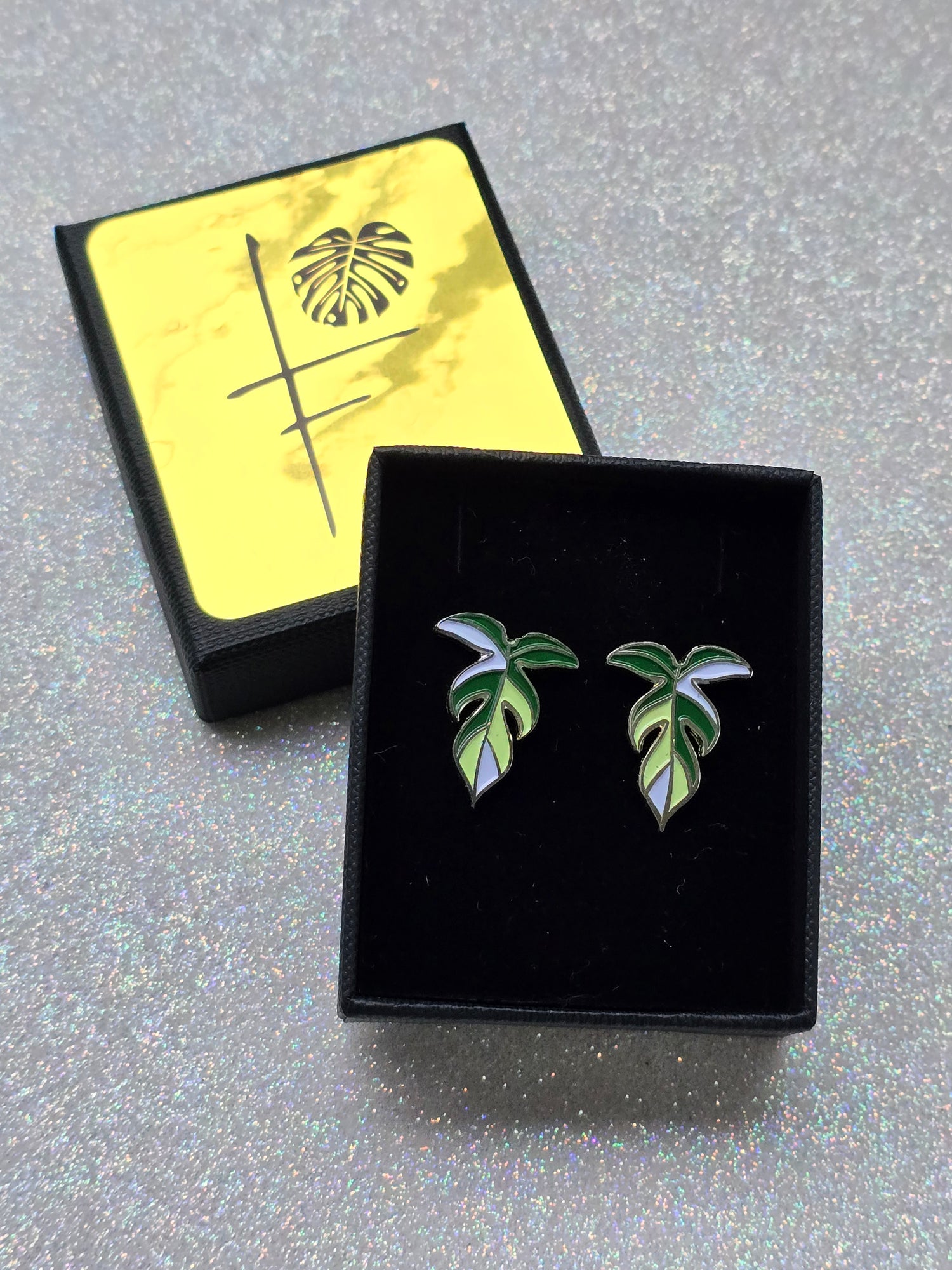 Philodendron Florida Ghost Metal Studs