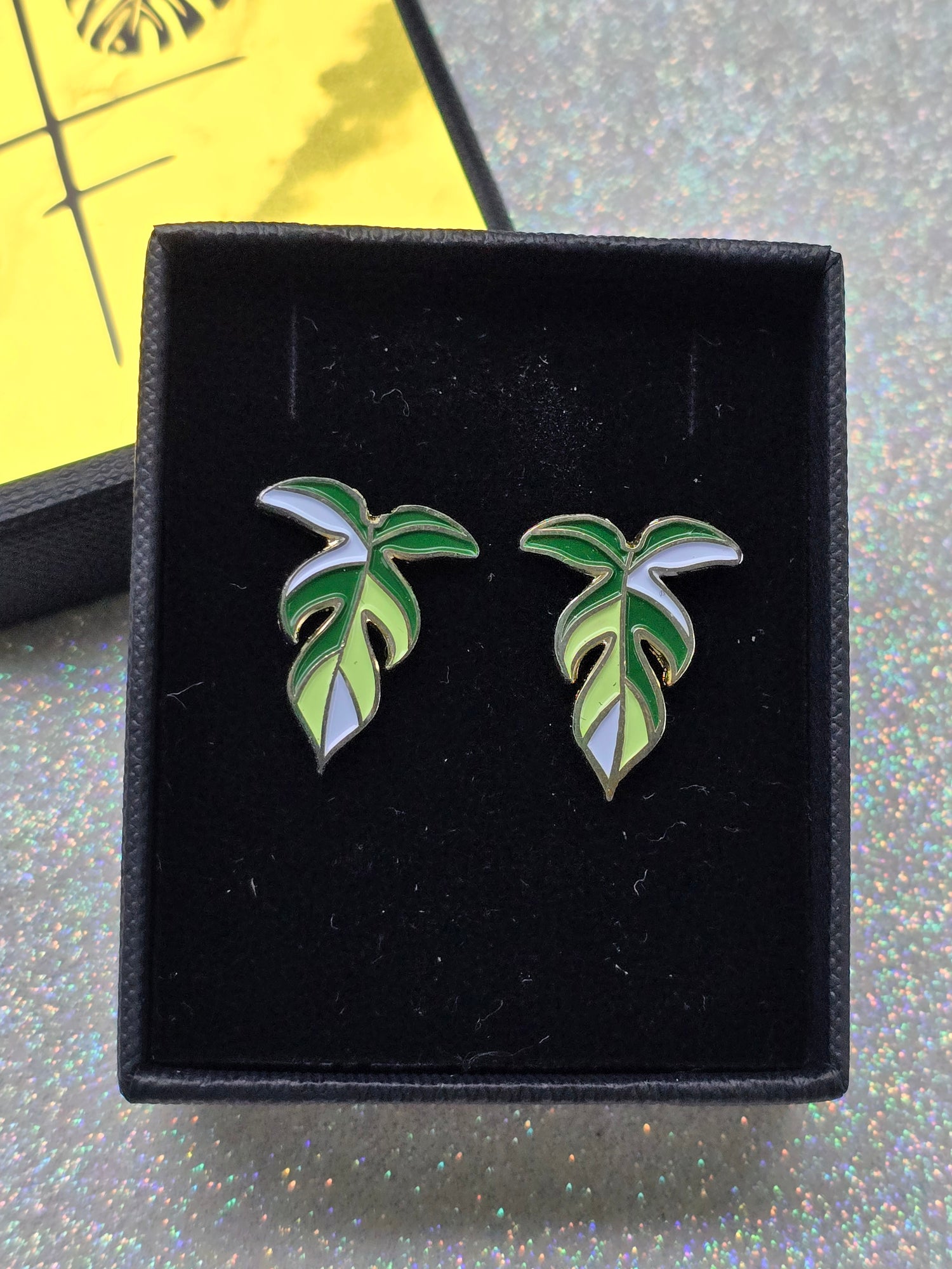 Philodendron Florida Ghost Metal Studs