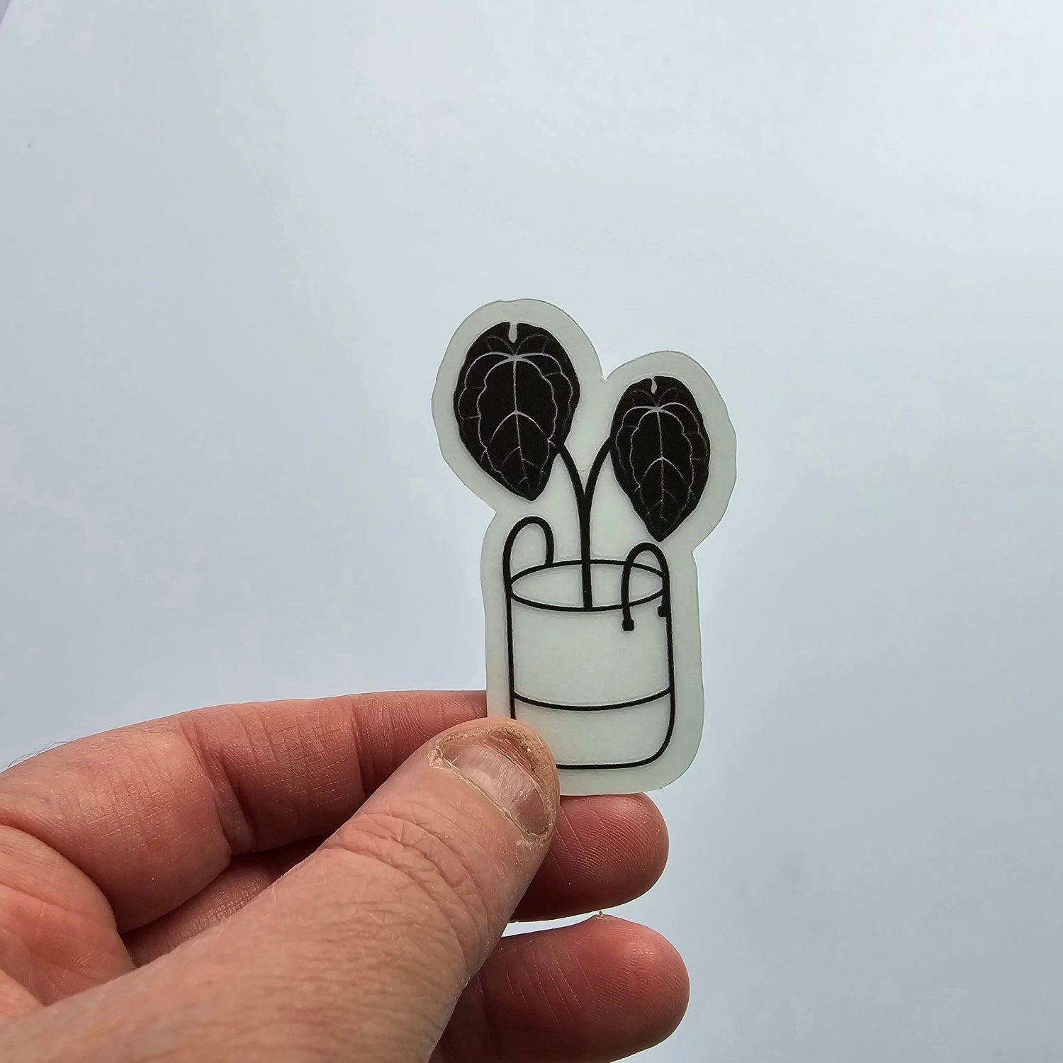 Black Silhouette Anthurium Forgetii 6cm CLEAR Vinyl Sticker