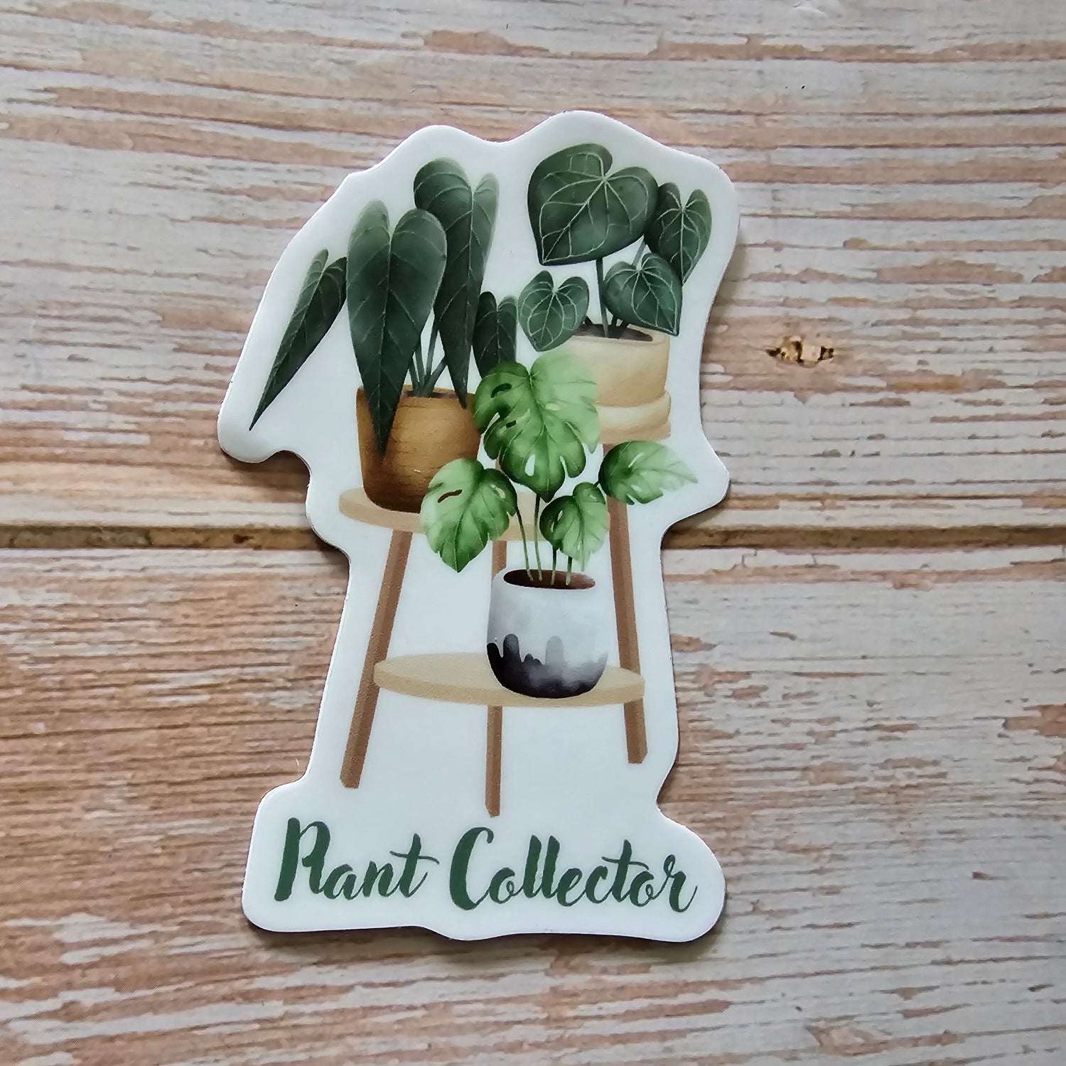 Rare Houseplants Plant Collector 8.5cm WHITE Vinyl Sticker