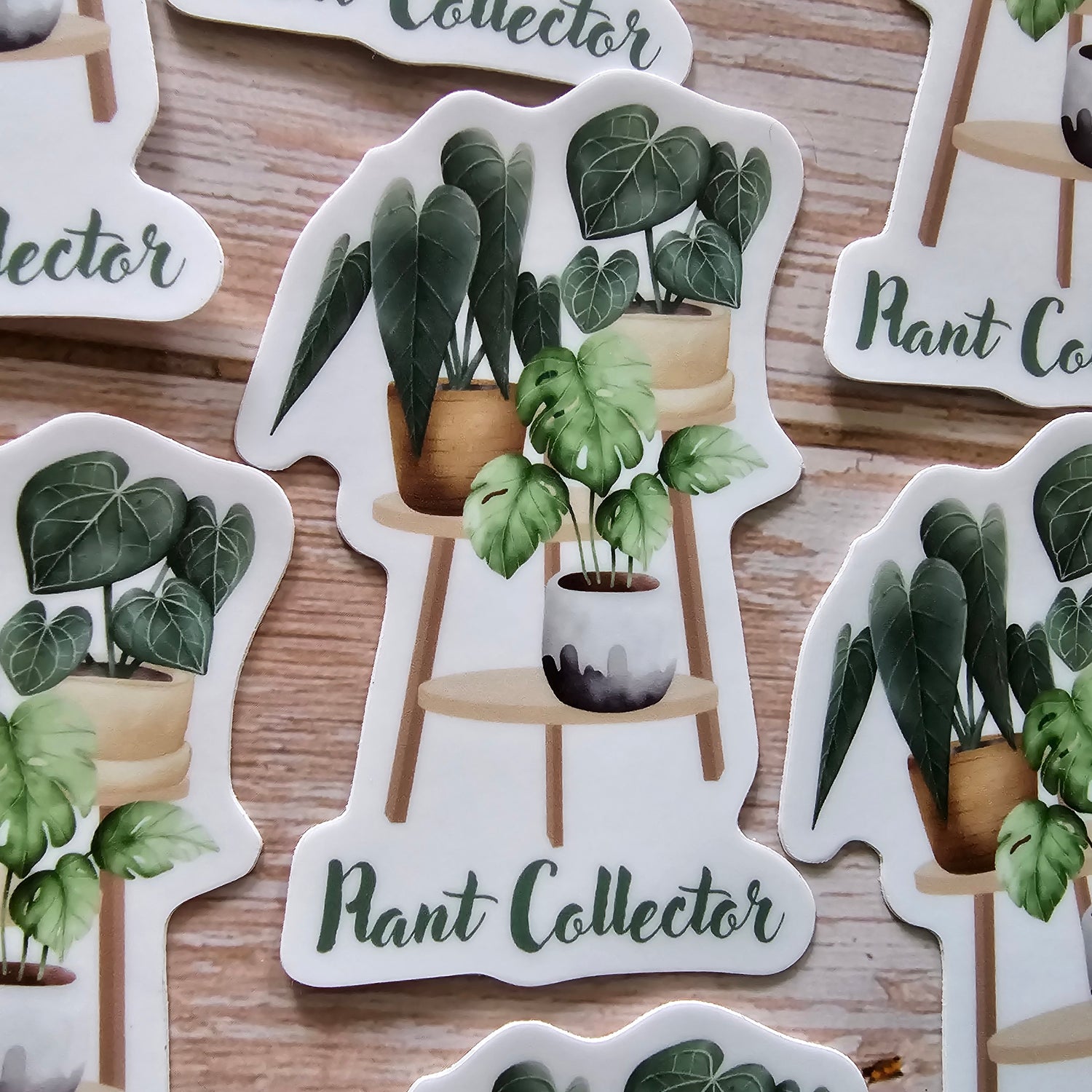 Rare Houseplants Plant Collector 8.5cm WHITE Vinyl Sticker