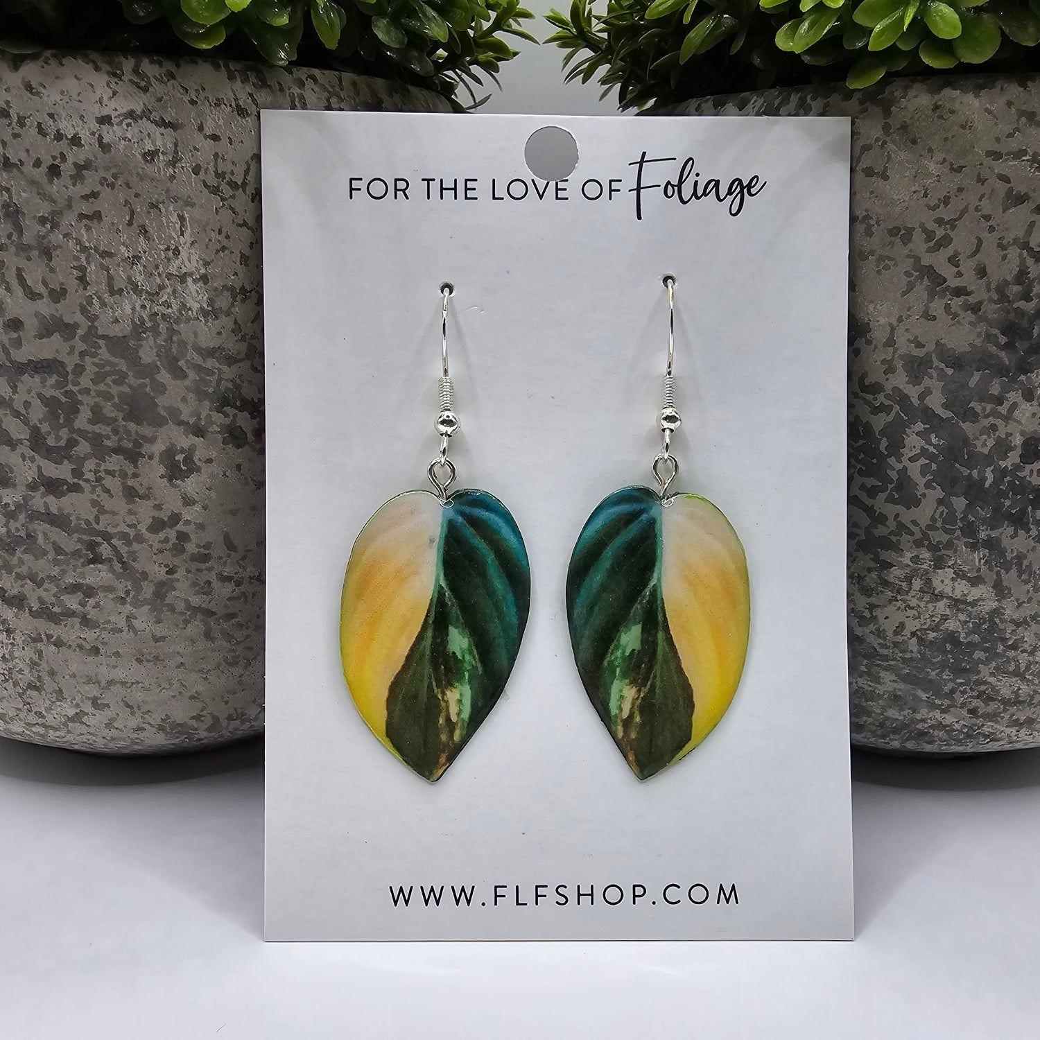 Philodendron Micans Variegated Rare HousePlant Earrings With Stirling silver hooks