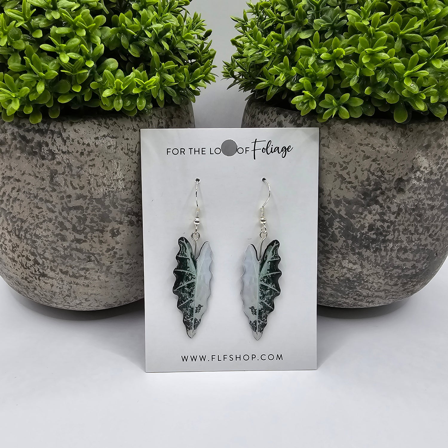 Alocasia Amazonica Variegated Houseplant Earrings With Stirling silver hooks
