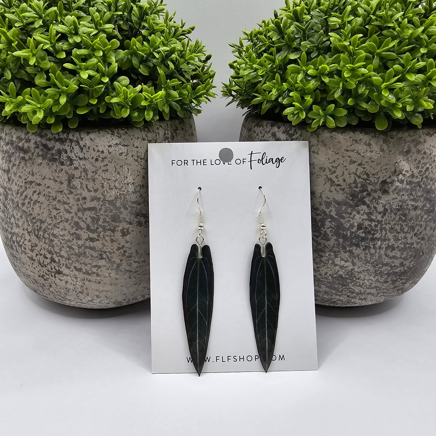 Anthurium Warocqueanum Houseplant Earrings with Stirling silver hooks