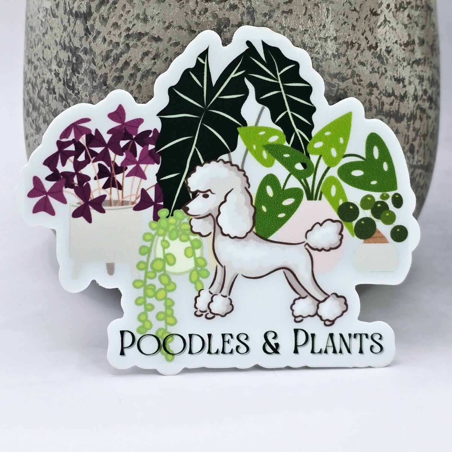 Poodles & Plants 8.5cm WHITE Vinyl Houseplants Sticker 🐩🌿