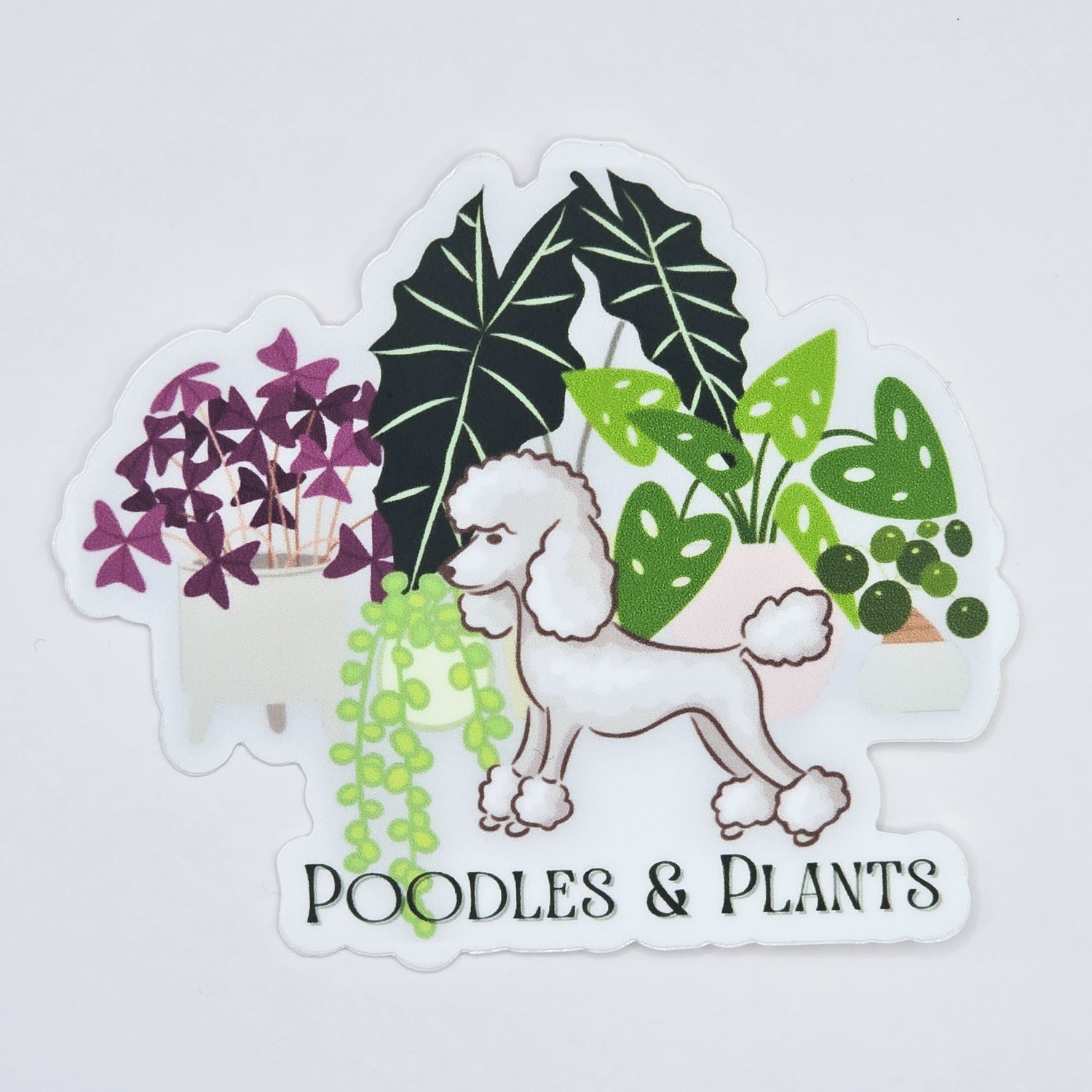 Poodles & Plants 8.5cm WHITE Vinyl Houseplants Sticker 🐩🌿