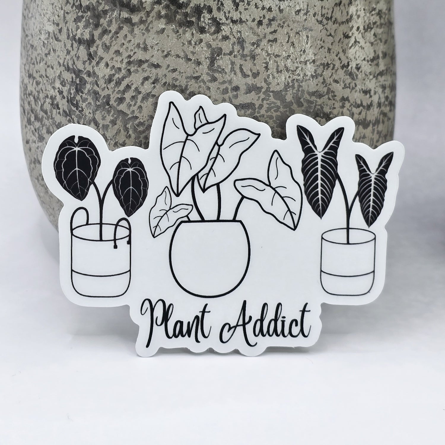 Black Silhouette Plant Addict 8.5cm CLEAR Vinyl Houseplants Sticker