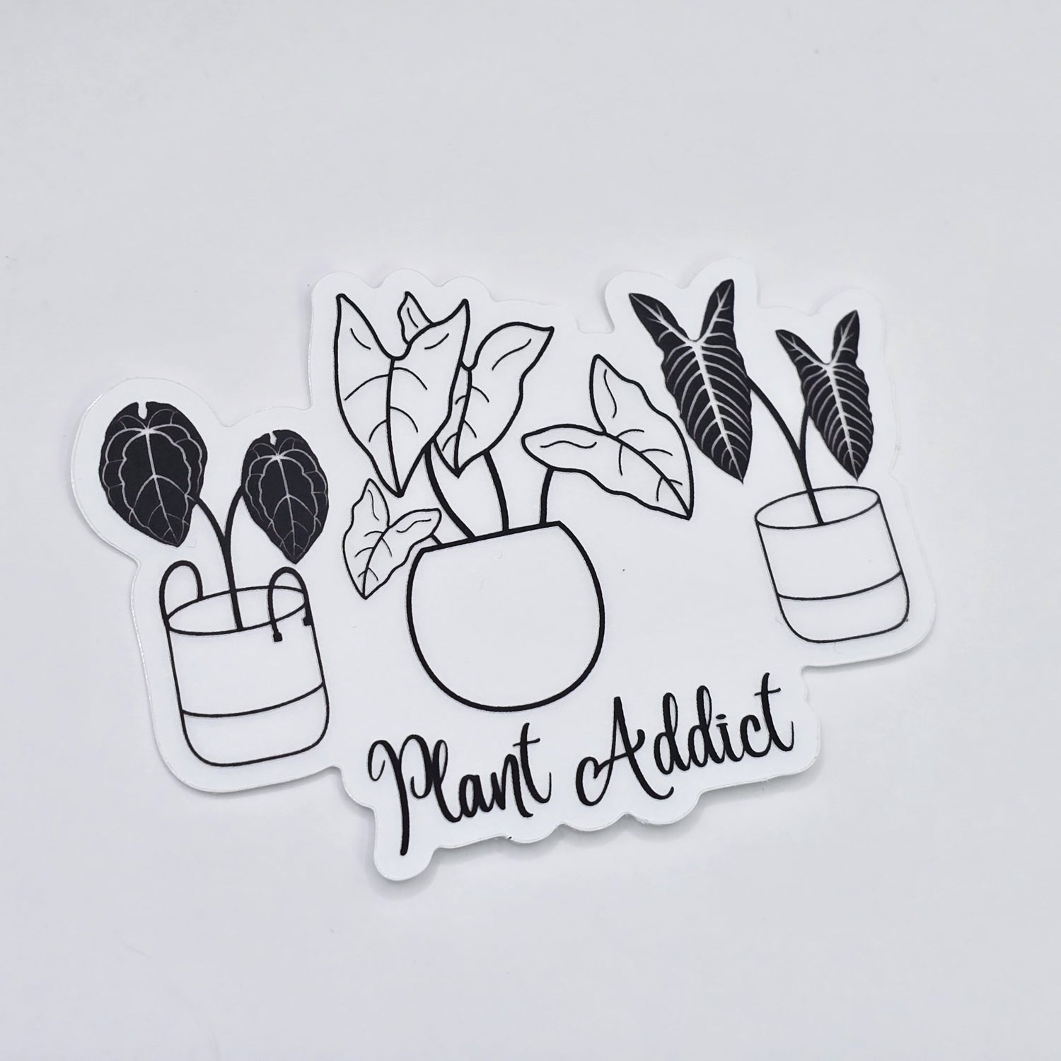 Black Silhouette Plant Addict 8.5cm CLEAR Vinyl Houseplants Sticker