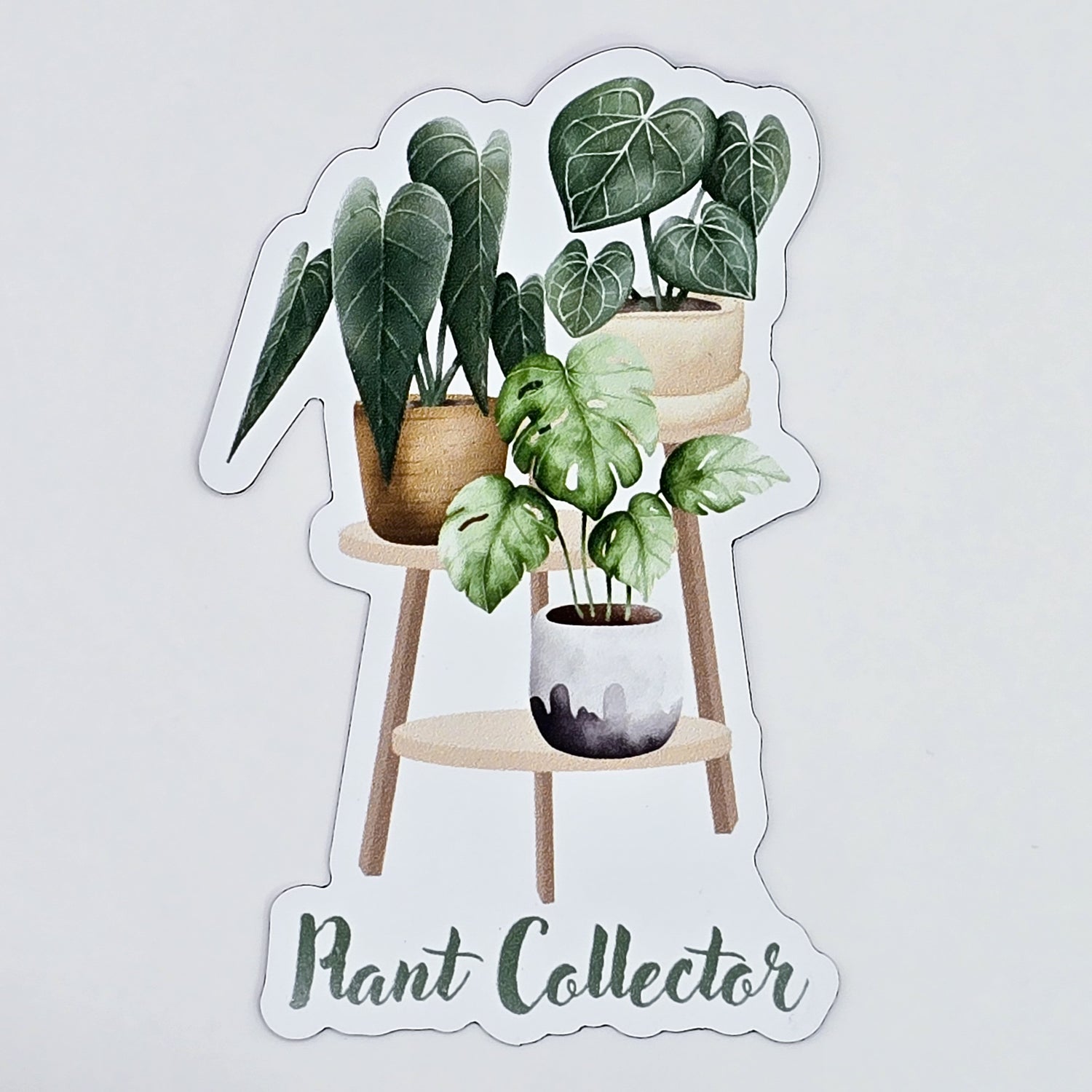 Plant Collector Houseplants Fridge Magnet