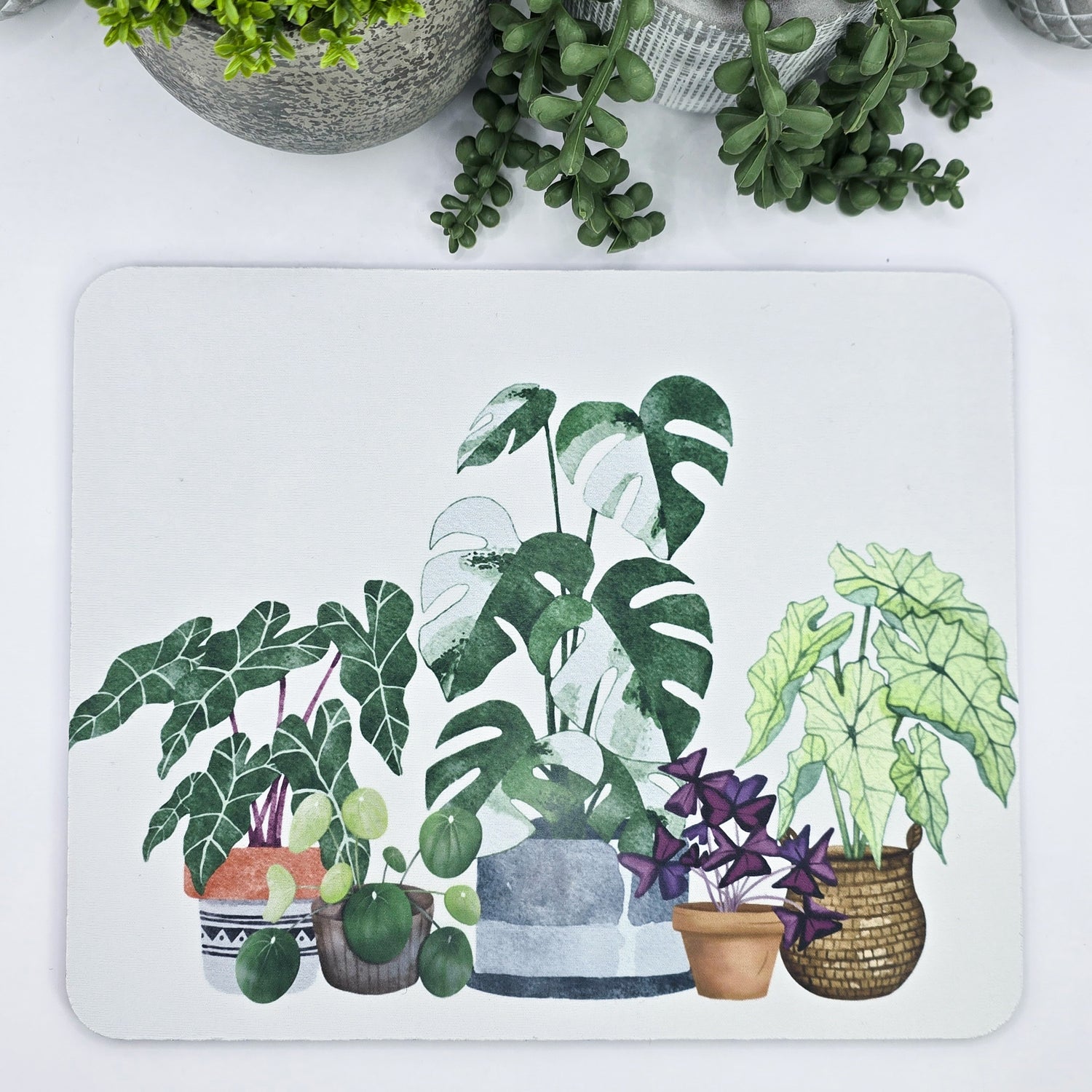 Rare Houseplants Computer Mousepad