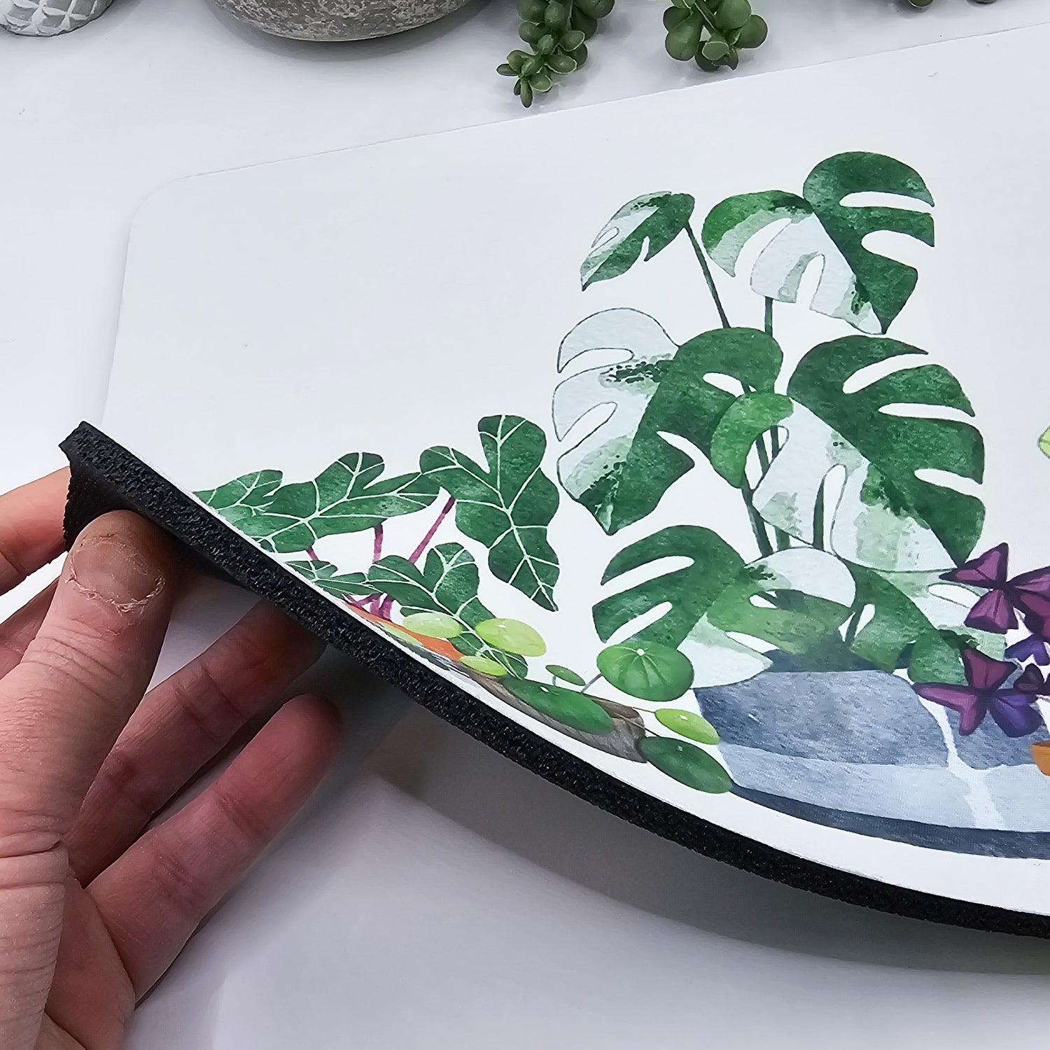 Rare Houseplants Computer Mousepad