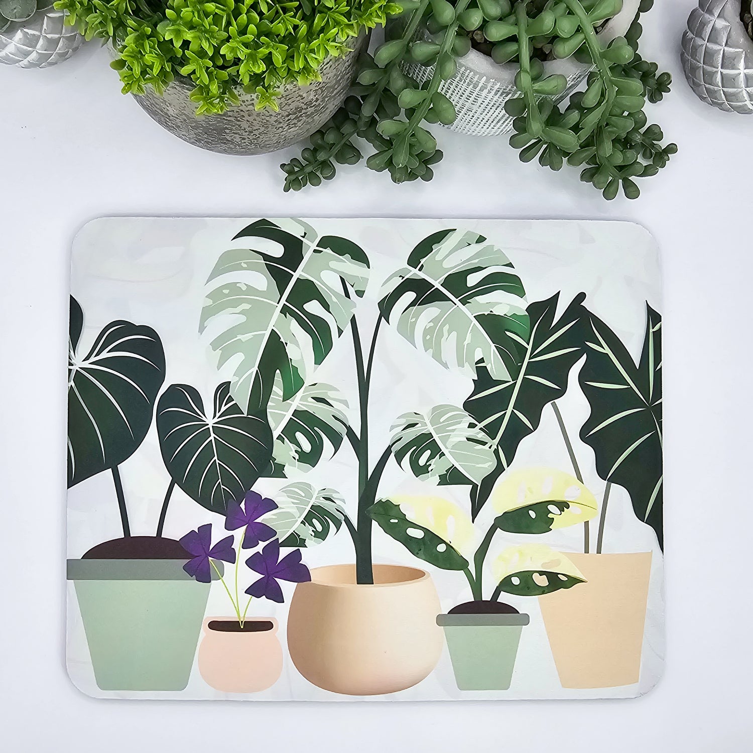 Variegated Potted Houseplants Computer Mousepad