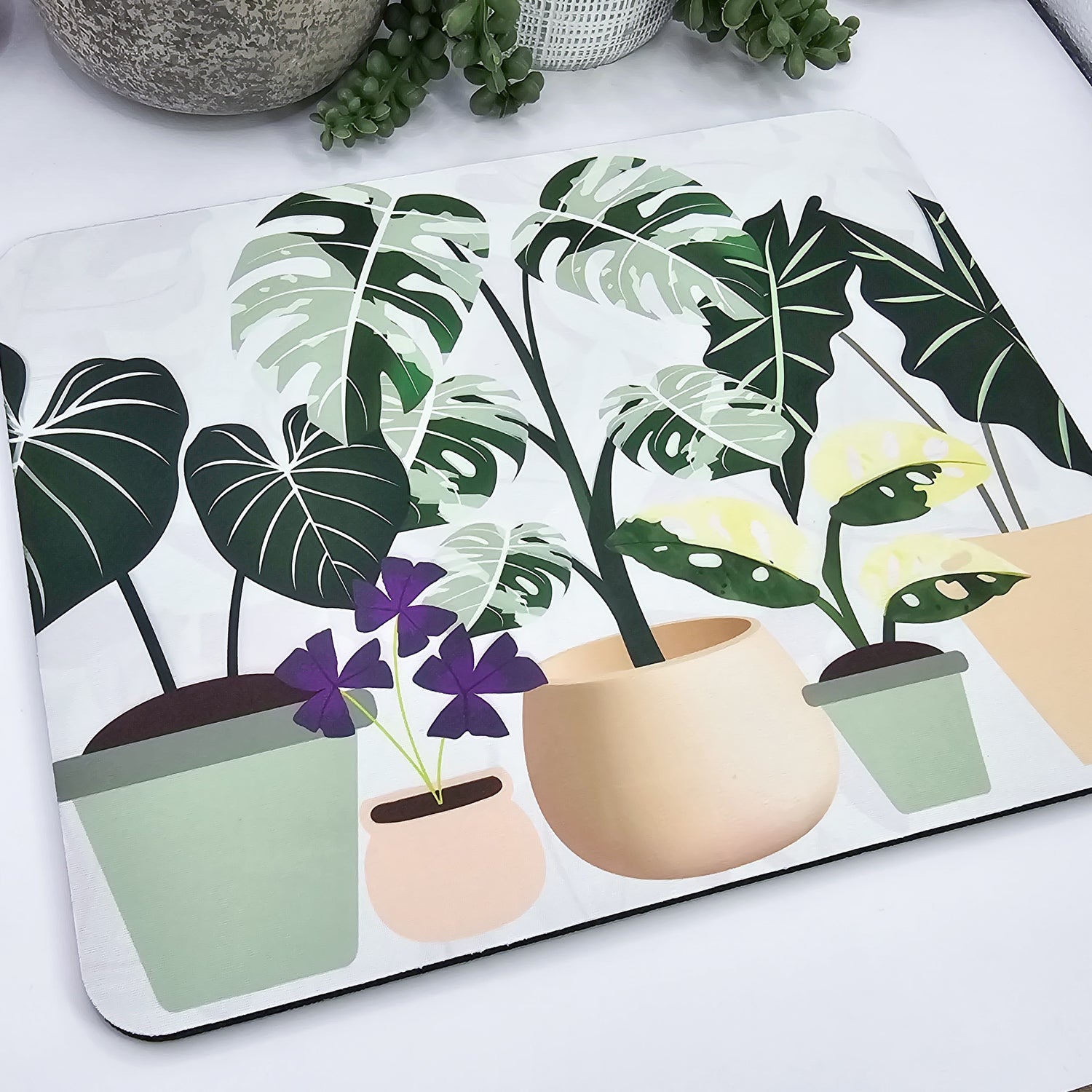Variegated Potted Houseplants Computer Mousepad