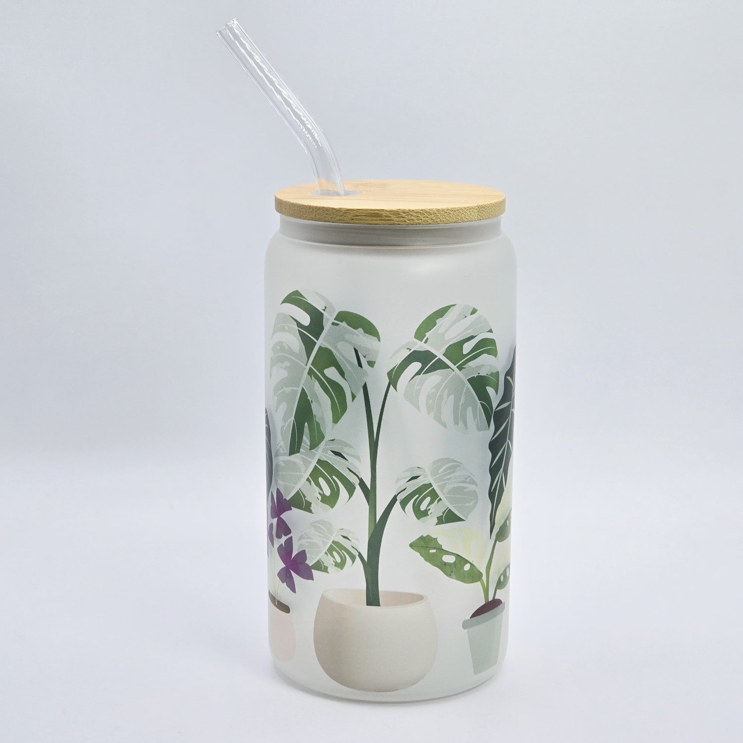 Rare Variegated Houseplants 16oz Frosted Glass Tumbler