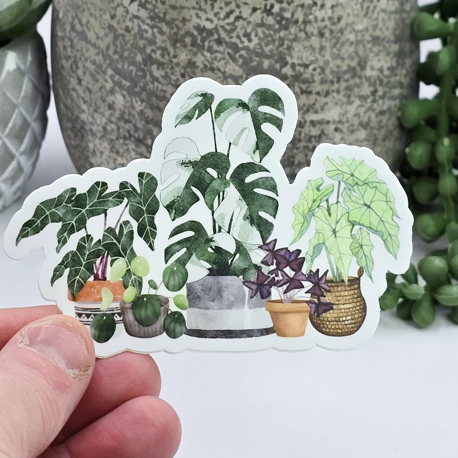 Rare Watercolour Houseplants 8.5cm WHITE Vinyl Sticker