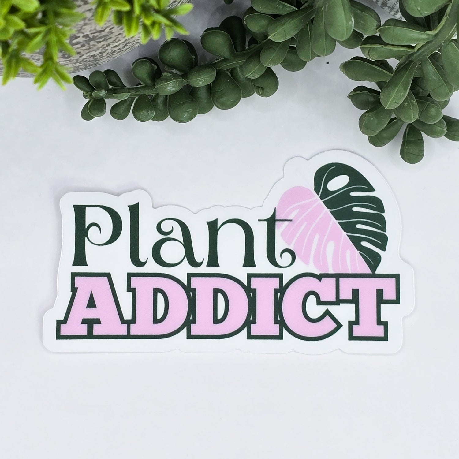 Plant Addict Pink Monstera Houseplant 9cm CLEAR Vinyl Sticker