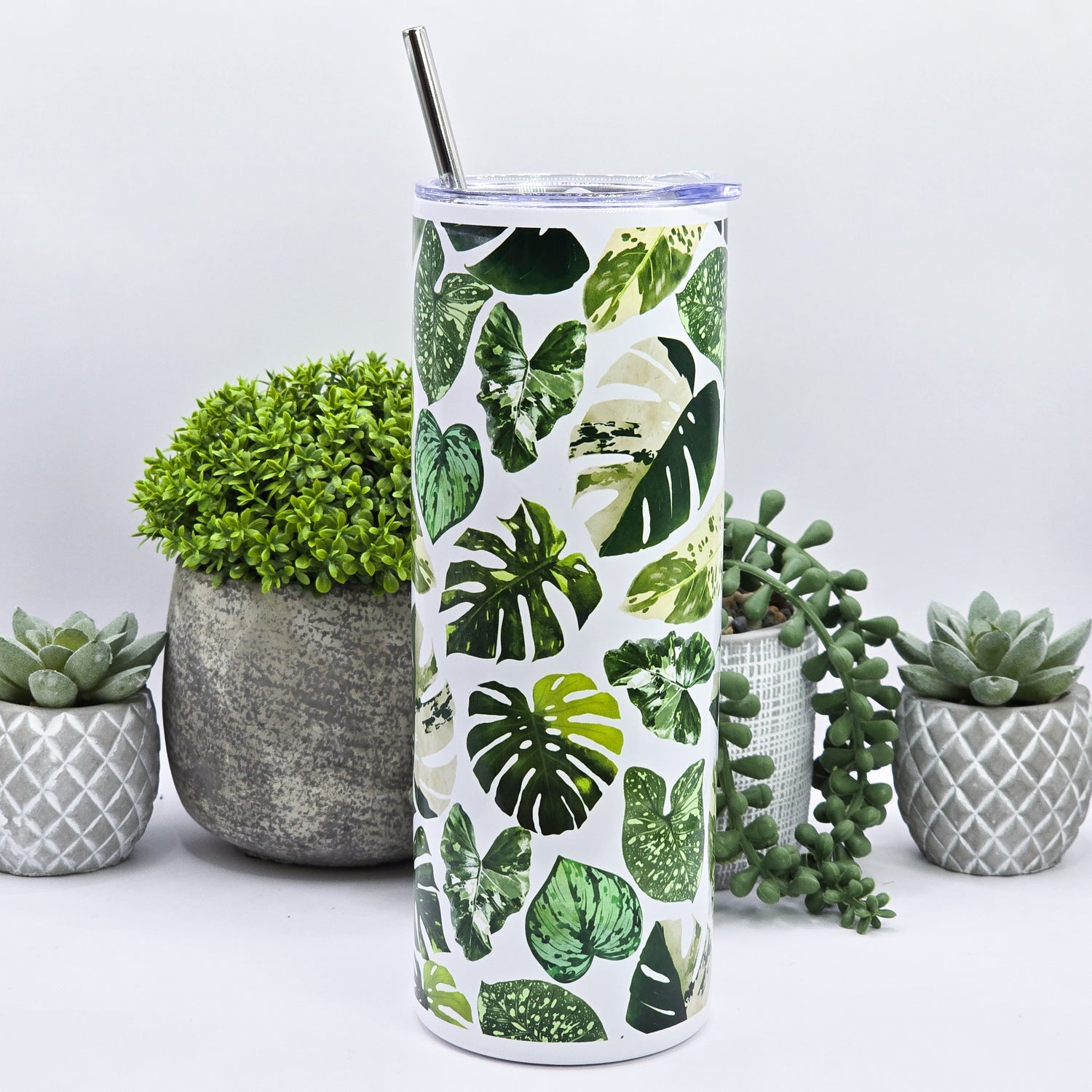 'All the Leaves' Variegated Houseplants 12oz/20oz Insulated Stainless Steel Tumbler
