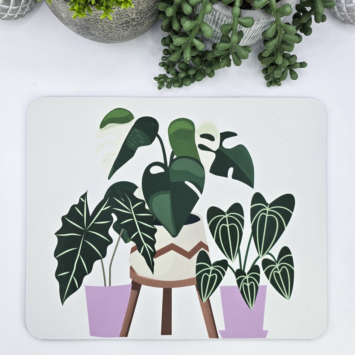 Rare Houseplants With Purple Pots Computer Mousepad