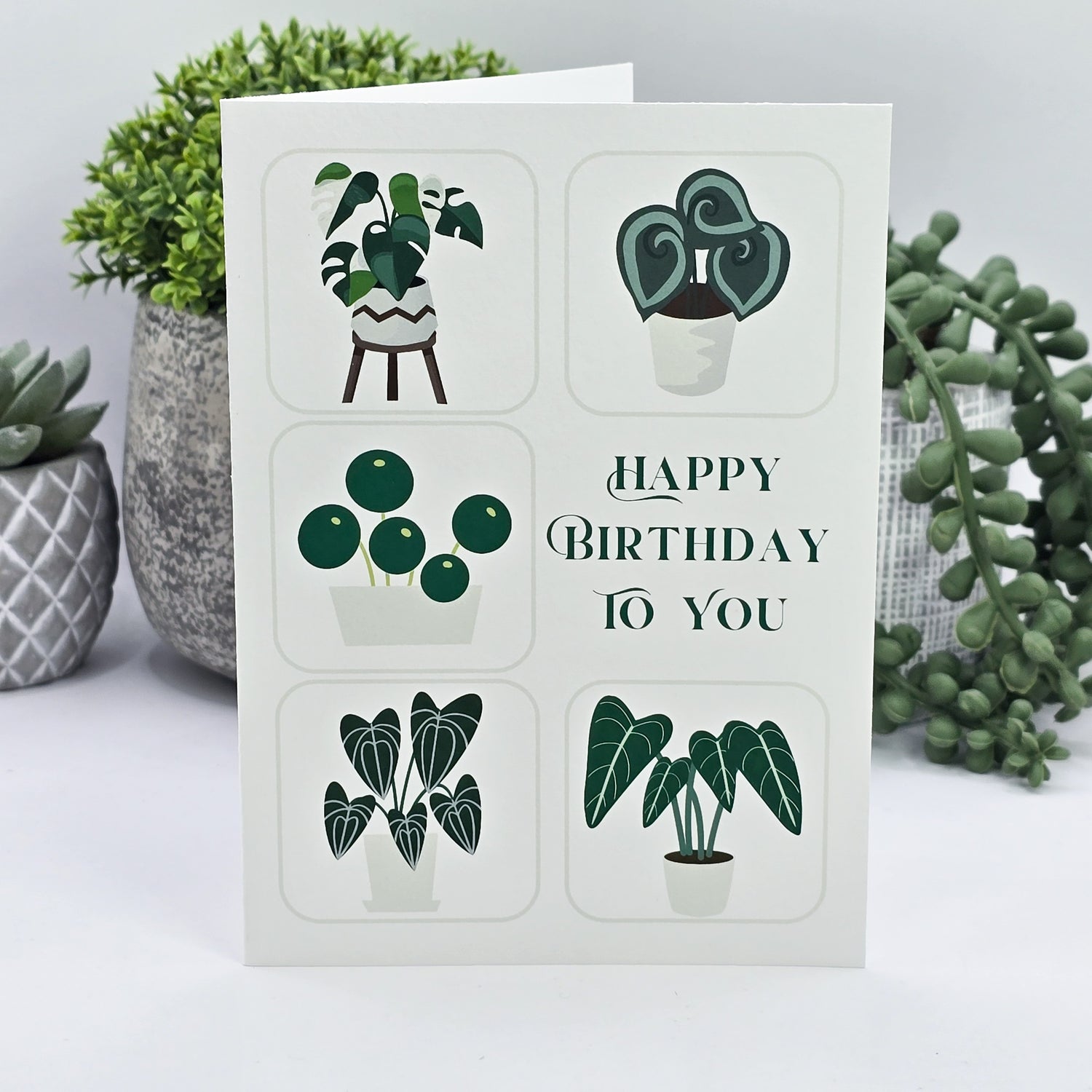 My Plantasy happy birthday to you rare houseplants birthday greeting card