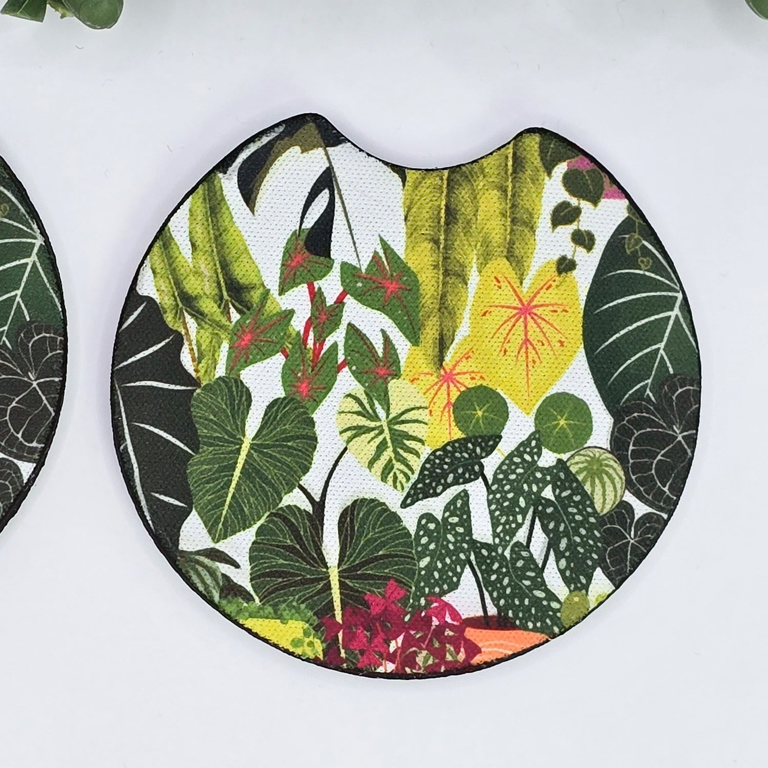 'My Plantasy' Rare Plants Car Coasters - Set of 2, Houseplant Cup Holder Coasters