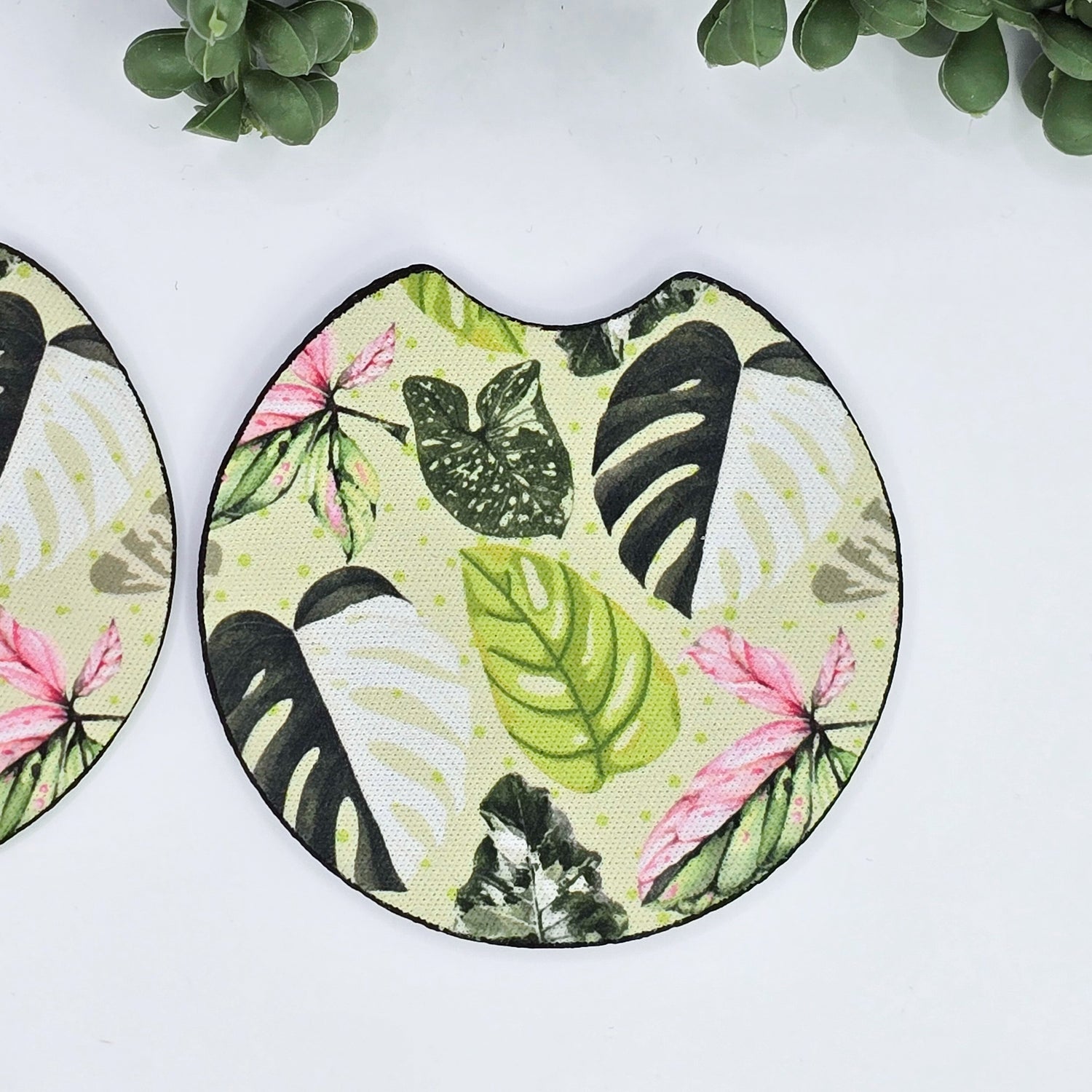 Rare Variegated Houseplant leaves Car Coasters - Set of 2, Car Cup Holder Coasters