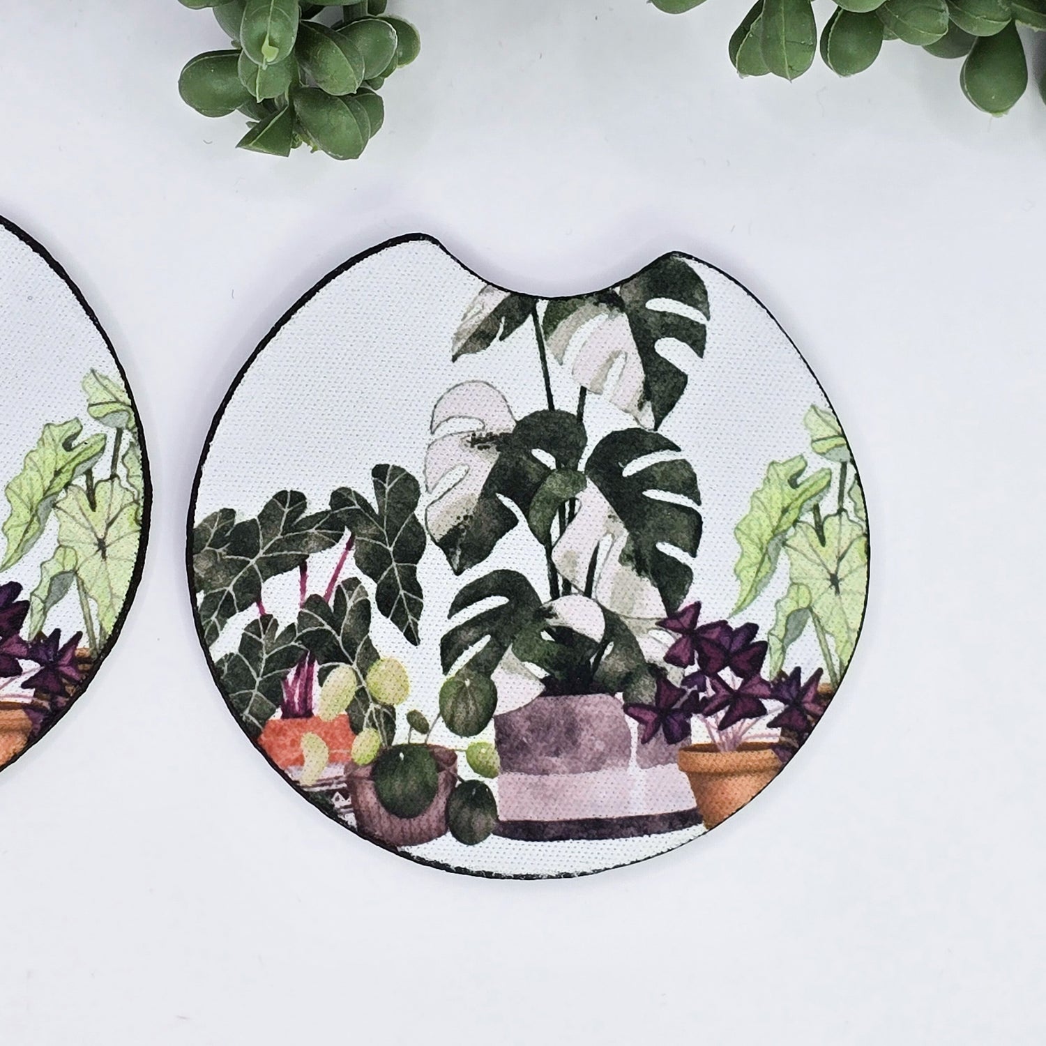 Rare Houseplants Car Coasters - Set of 2, Car Cup Holder Coasters