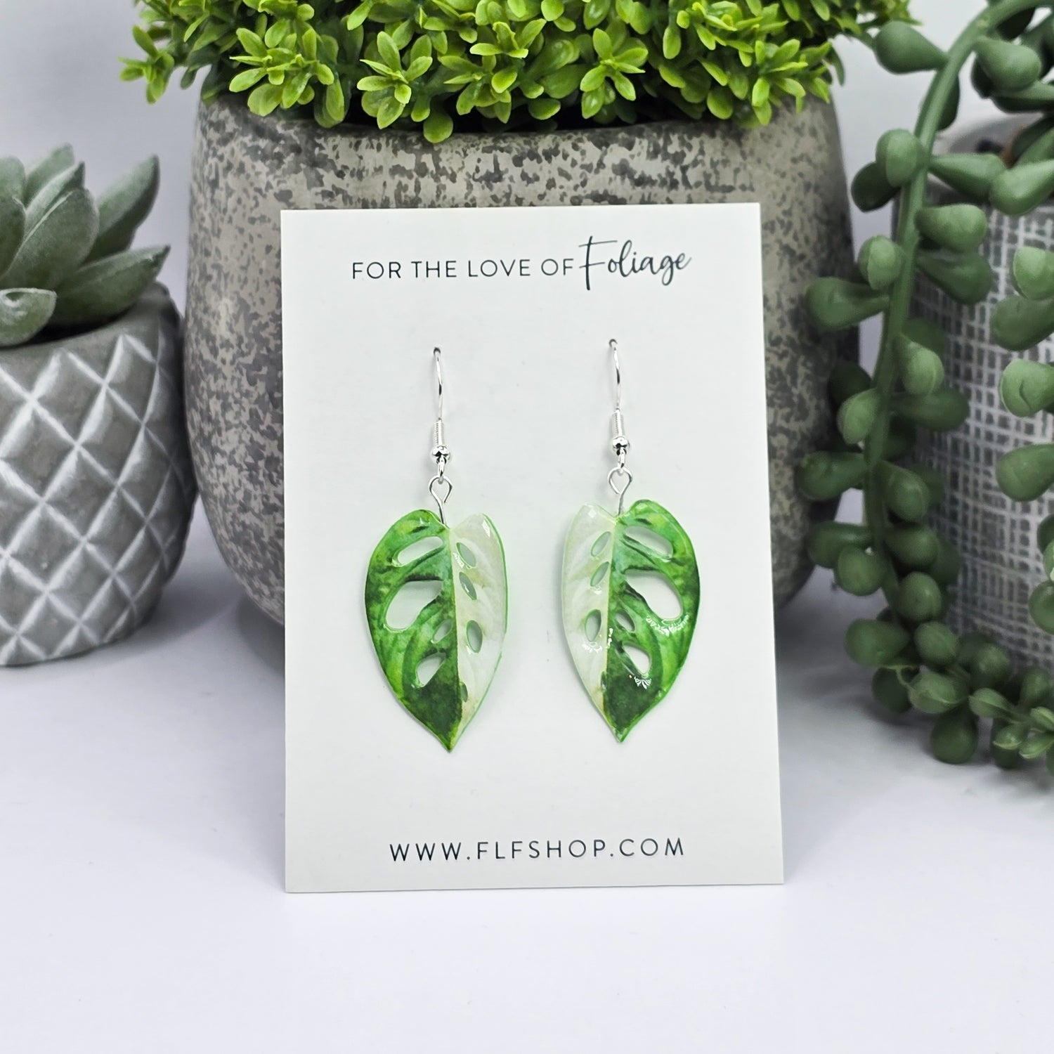 Monstera Adansonii Albo Variegated Houseplant Earrings With Stirling silver hooks