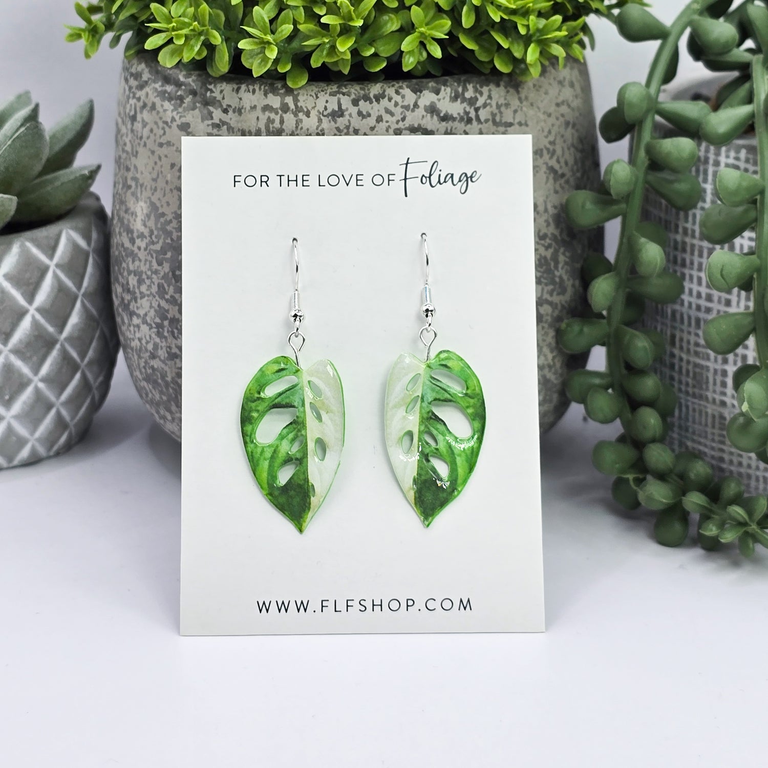 Monstera Adansonii Albo Variegated Houseplant Earrings With Stirling silver hooks