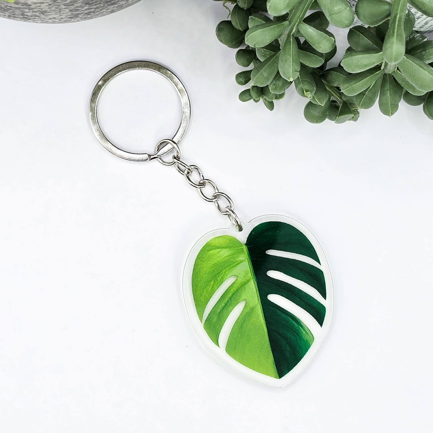 Rare Monstera Borsigiana Aurea variegated acrylic keyring
