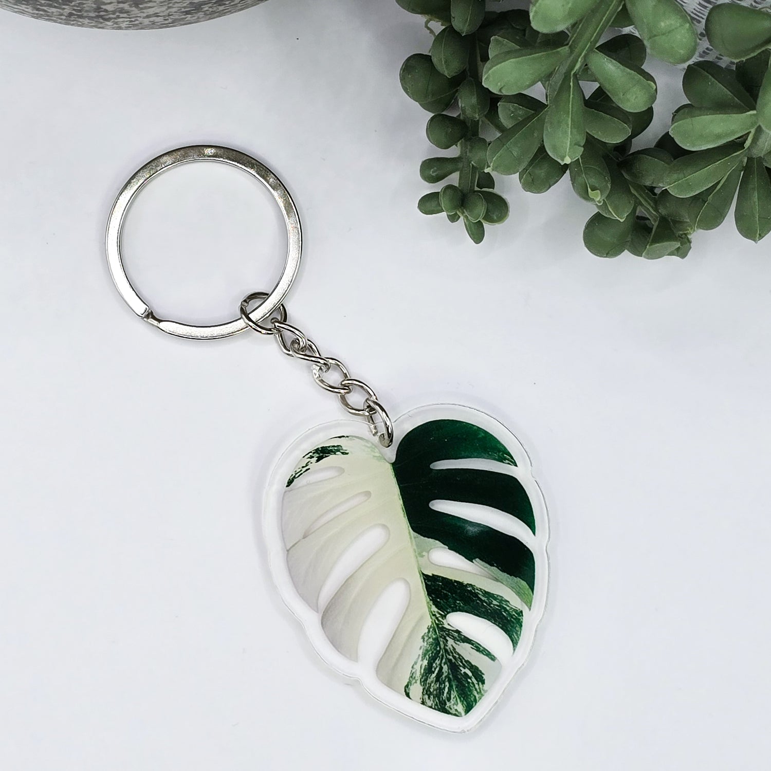 Rare Monstera Borsigiana Albo Variegated Halfmoon acrylic keyring