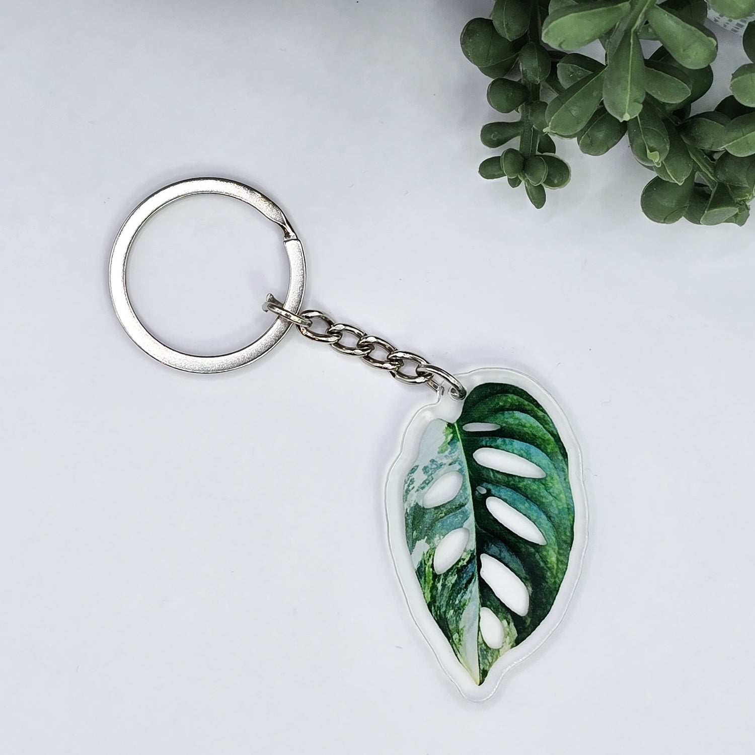 Monstera Adansonii Albo 'Swiss Cheese' Variegated Acrylic Houseplant Keyring