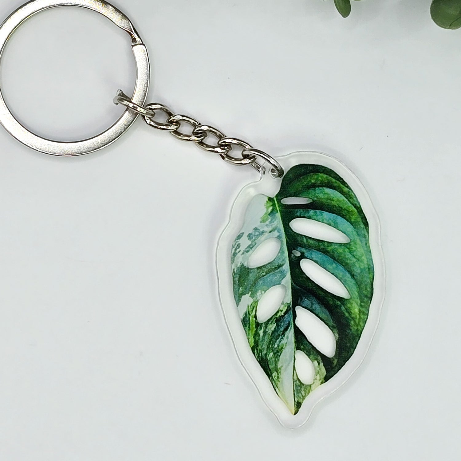 Rare Monstera Adansonii Albo Variegated Acrylic Keyring