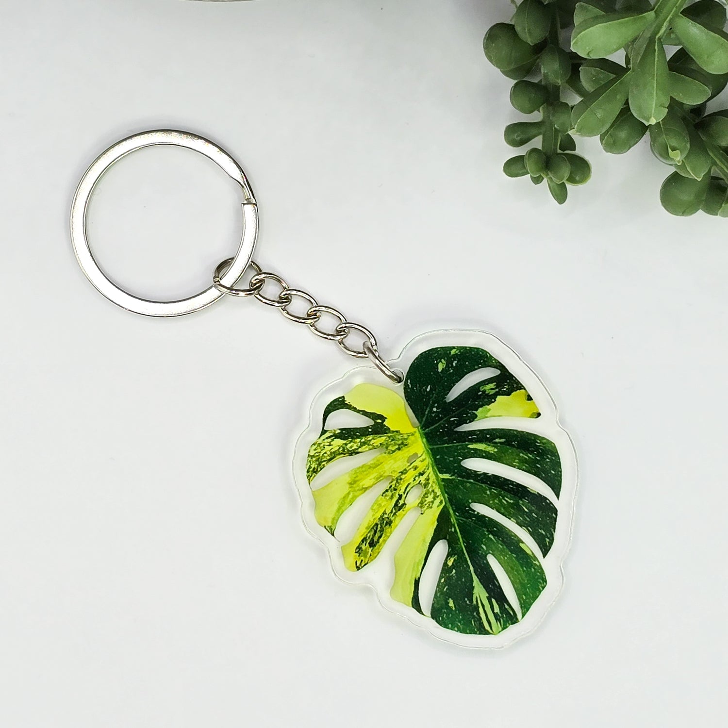Rare Monstera Thai Constilation acrylic keyring