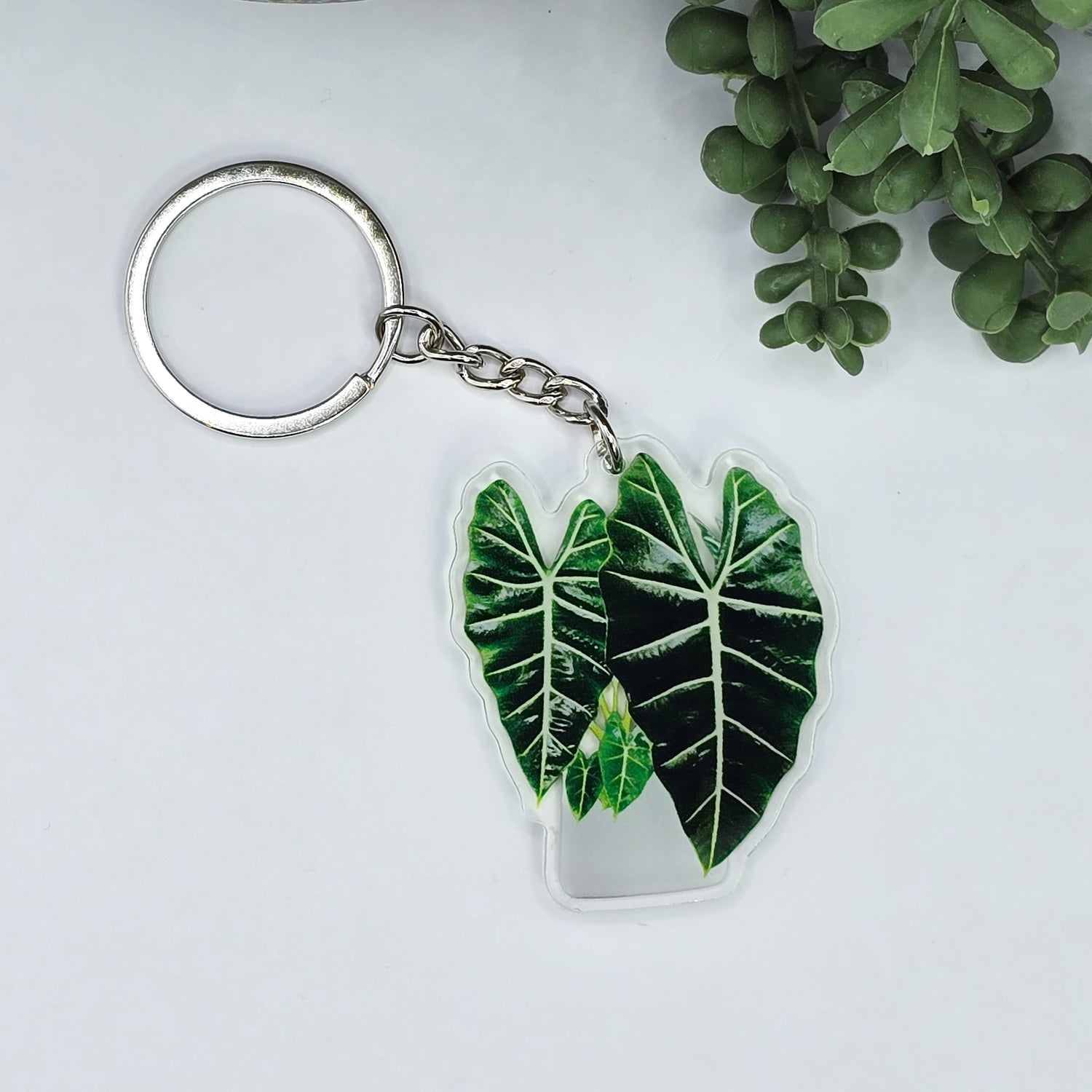 Rare potted Alocasia Frydek acrylic keyring