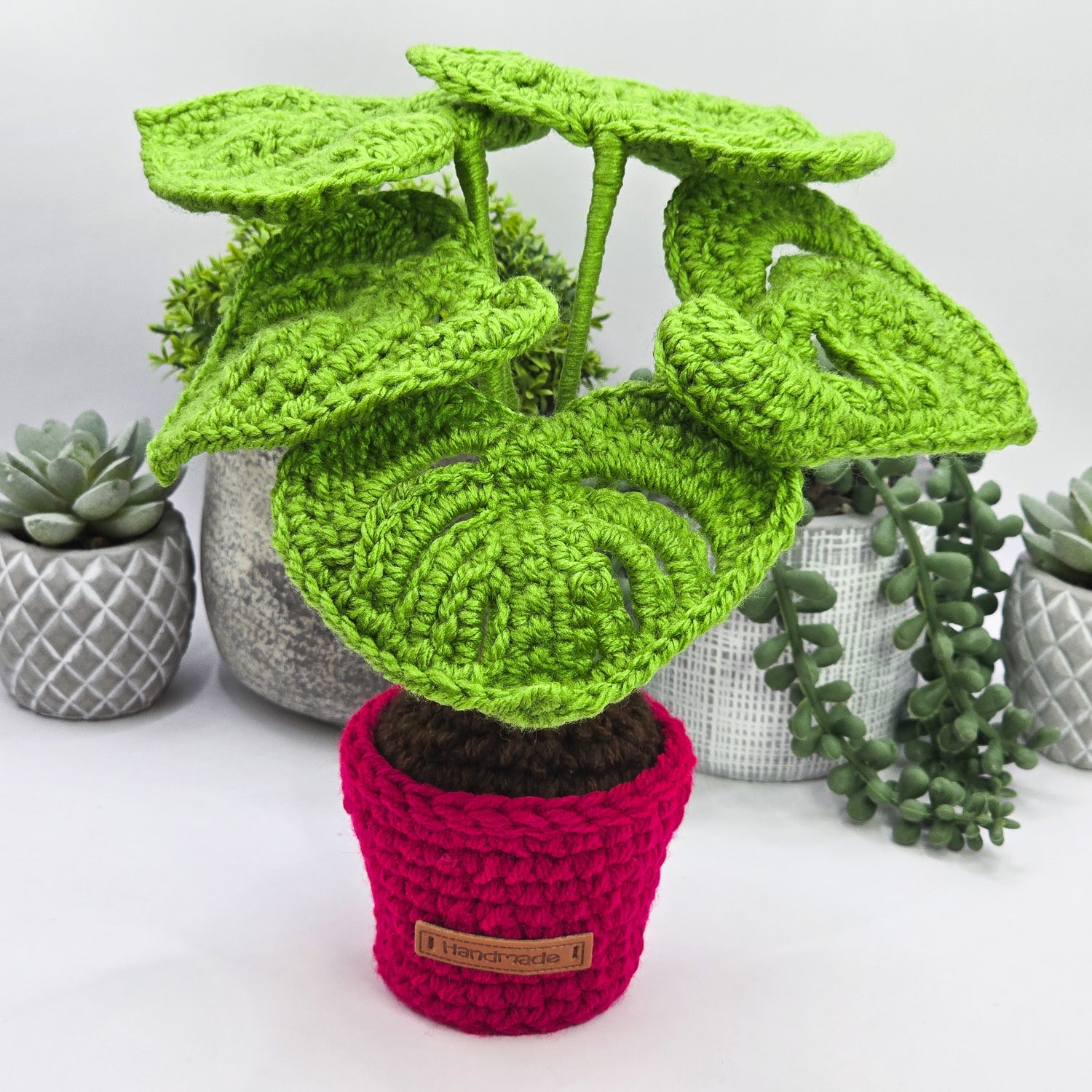 Mini Crochet Monstera Potted Plant Multiple Colours to chose from