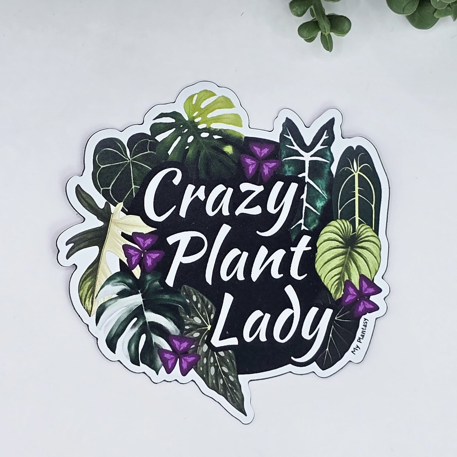 Crazy Plant Lady/Guy Rare Houseplants Fridge Magnet
