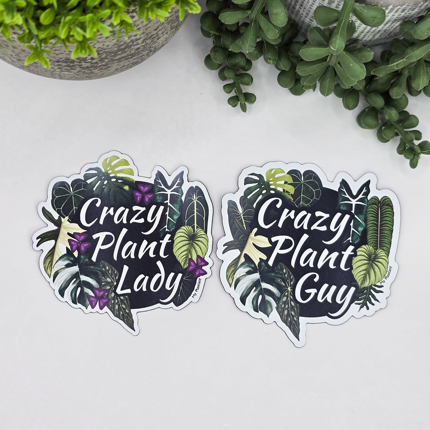 Crazy Plant Lady/Guy Rare Houseplants Fridge Magnet