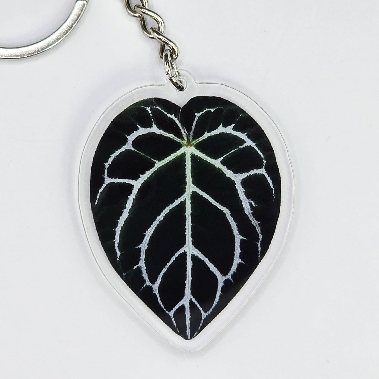 Anthurium Acrylic Houseplant Keyring