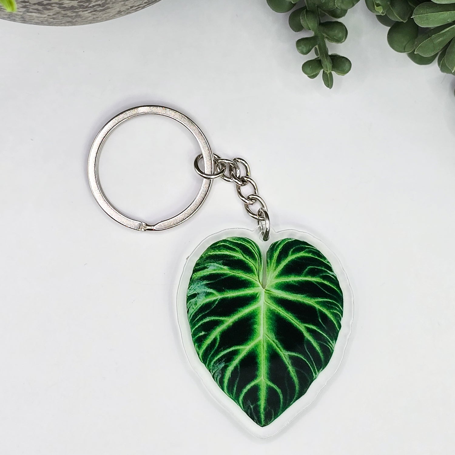 Philodendron Verrucosum Acrylic Houseplant Keyring