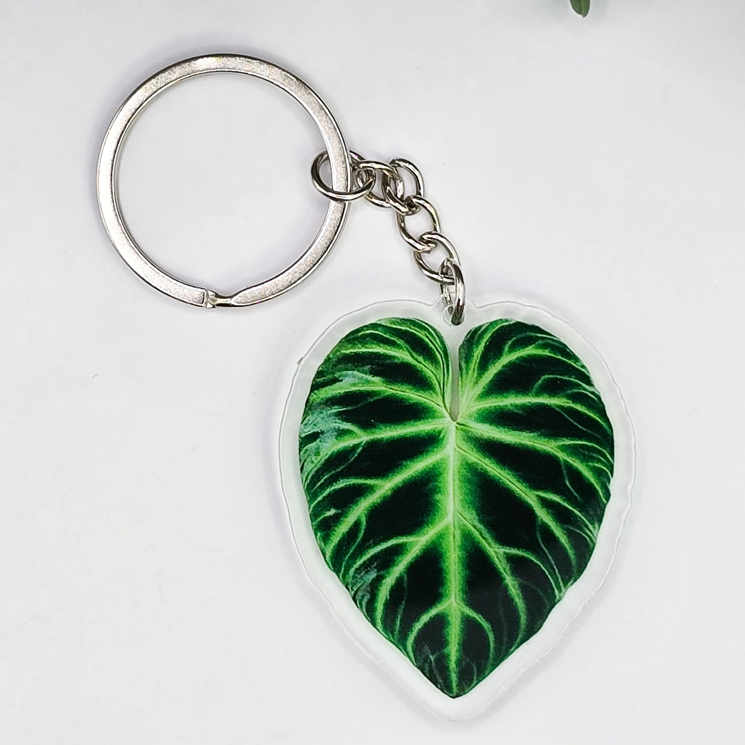 Philodendron Verrucosum Acrylic Houseplant Keyring