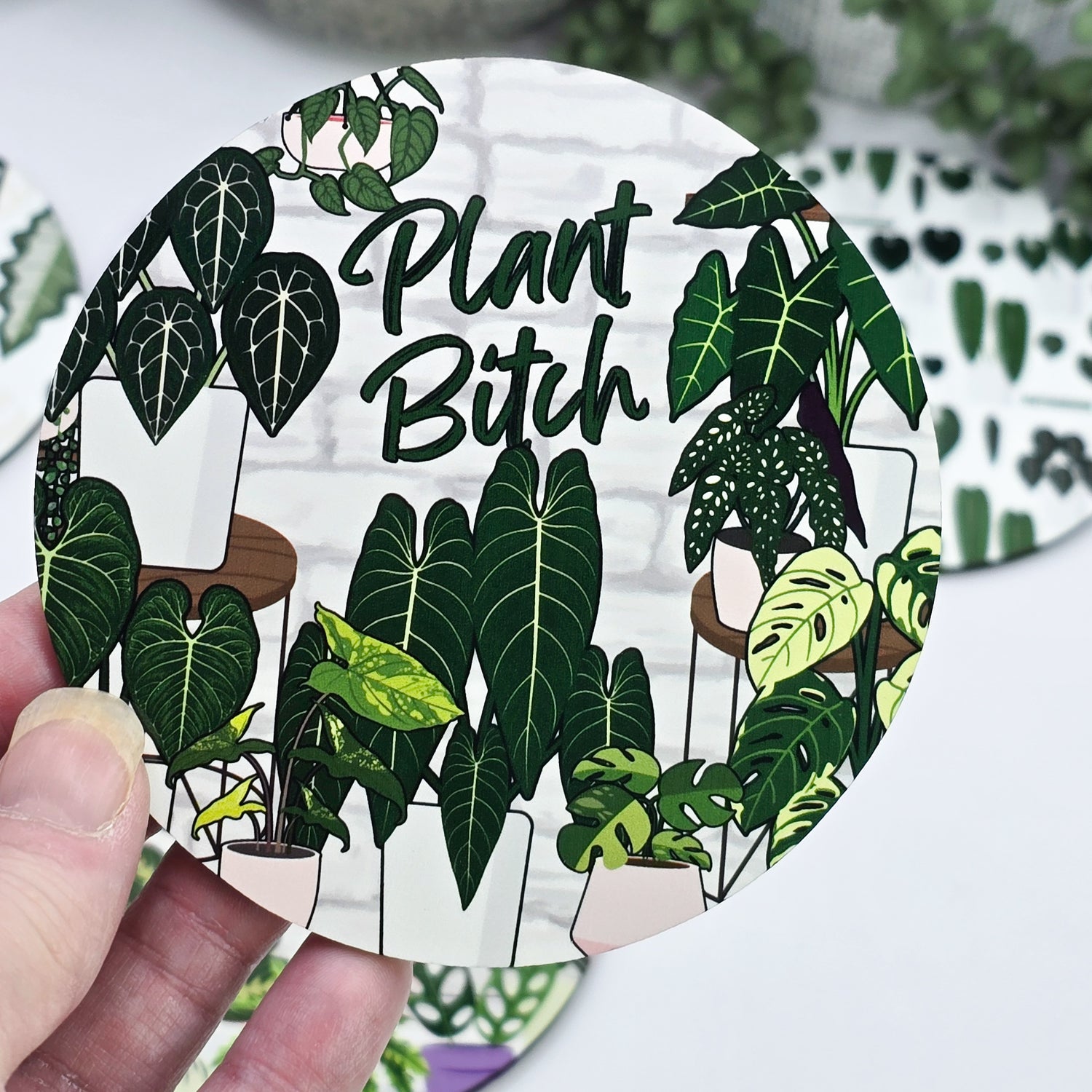 Round Houseplant Coasters with cork backing - 8 designs to choose from