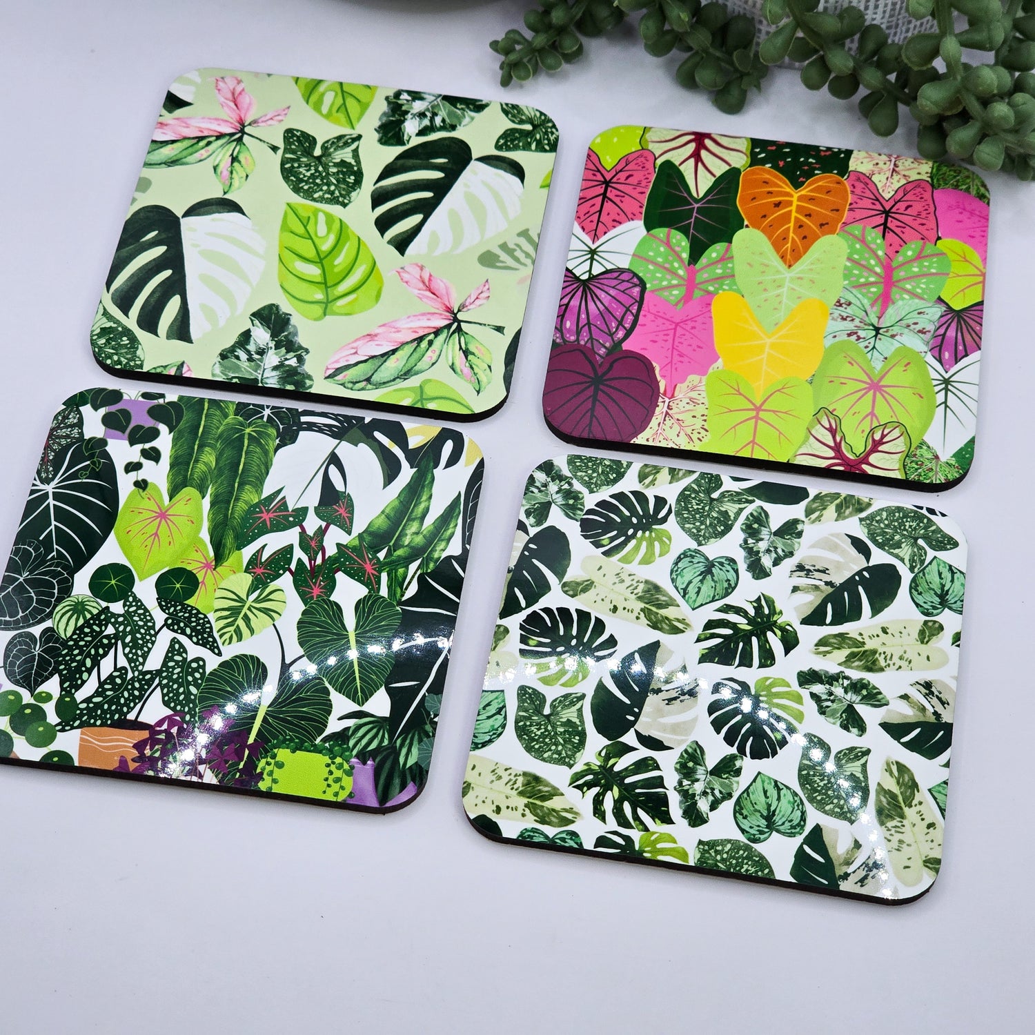 Square Houseplant Coasters with cork backing, 4 designs to choose from