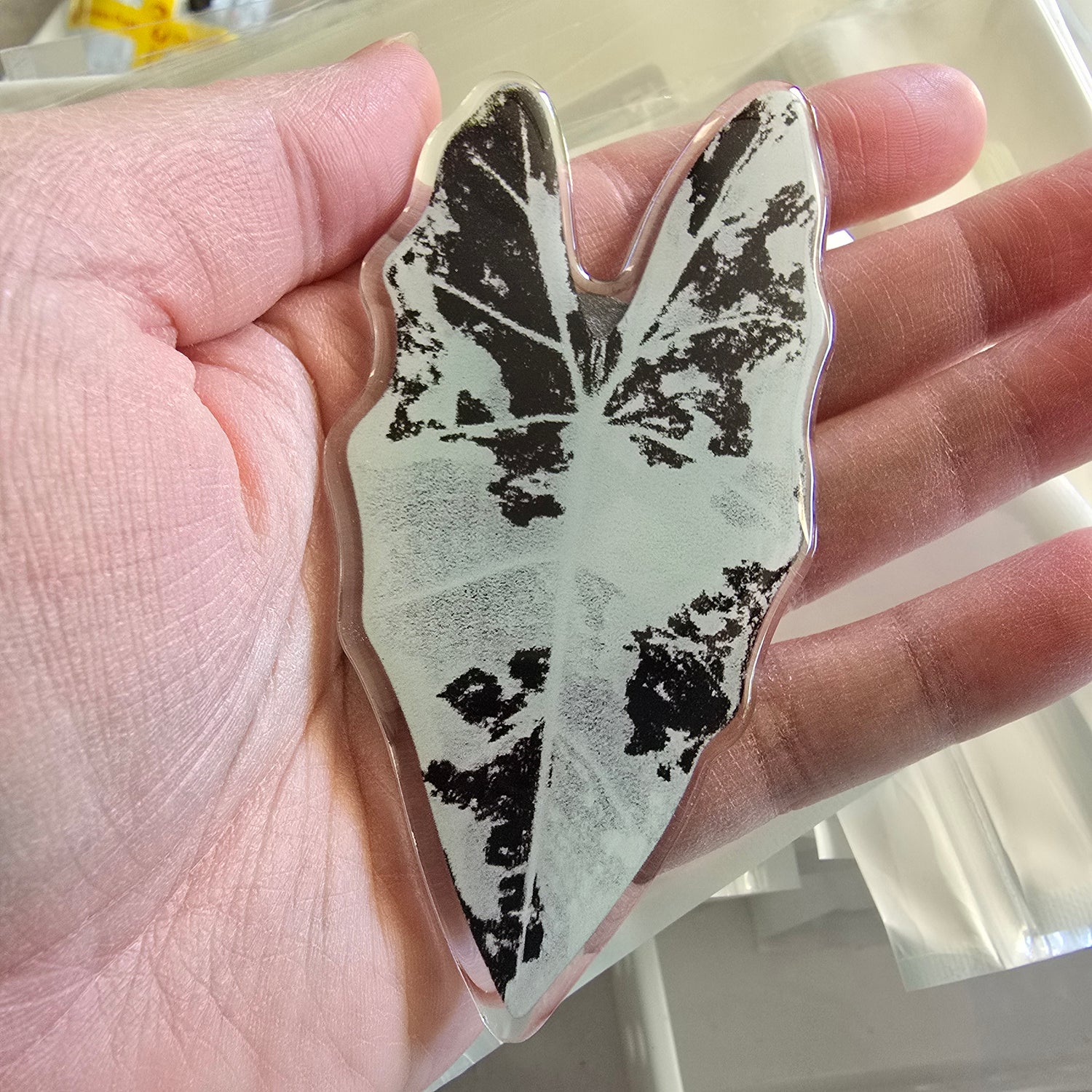 Rare Houseplant leaves Fridge Magnets - 8 to choose from