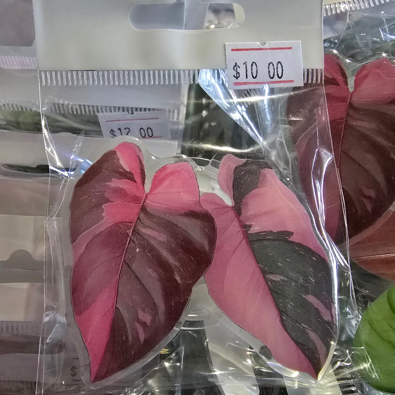 Philodendron Pink Princess Mobile Phone Grip/holder